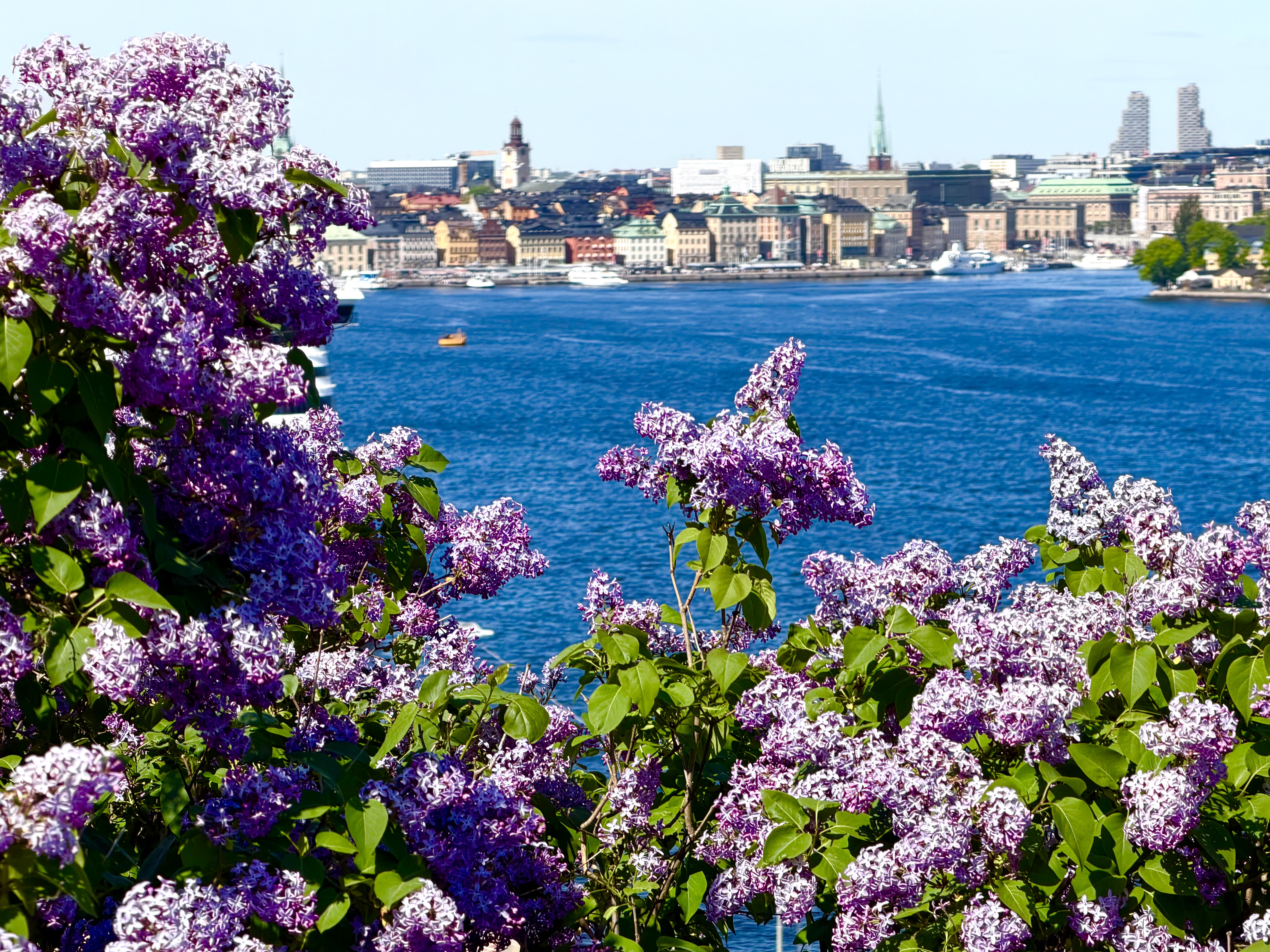 Gamla Stan i försommartid