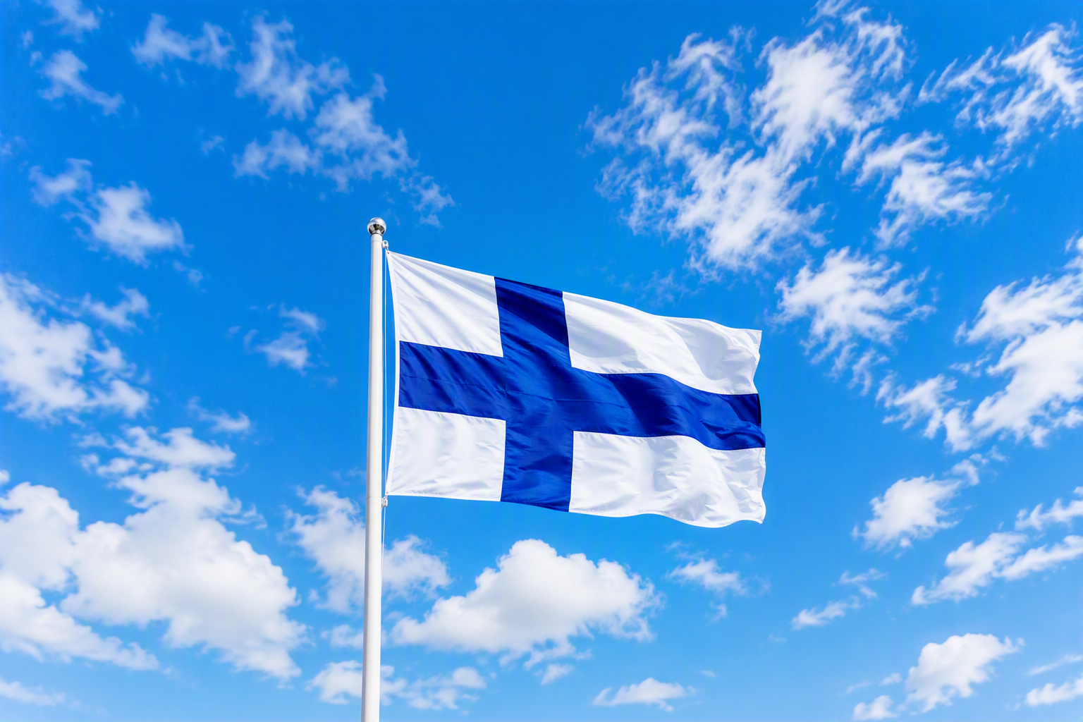 Flaggan på Finland