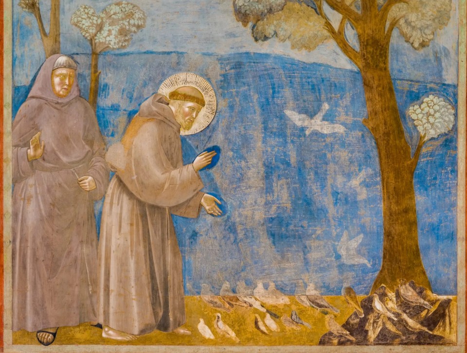 Målning av Franciskus av Assisi som pratar till fåglar 