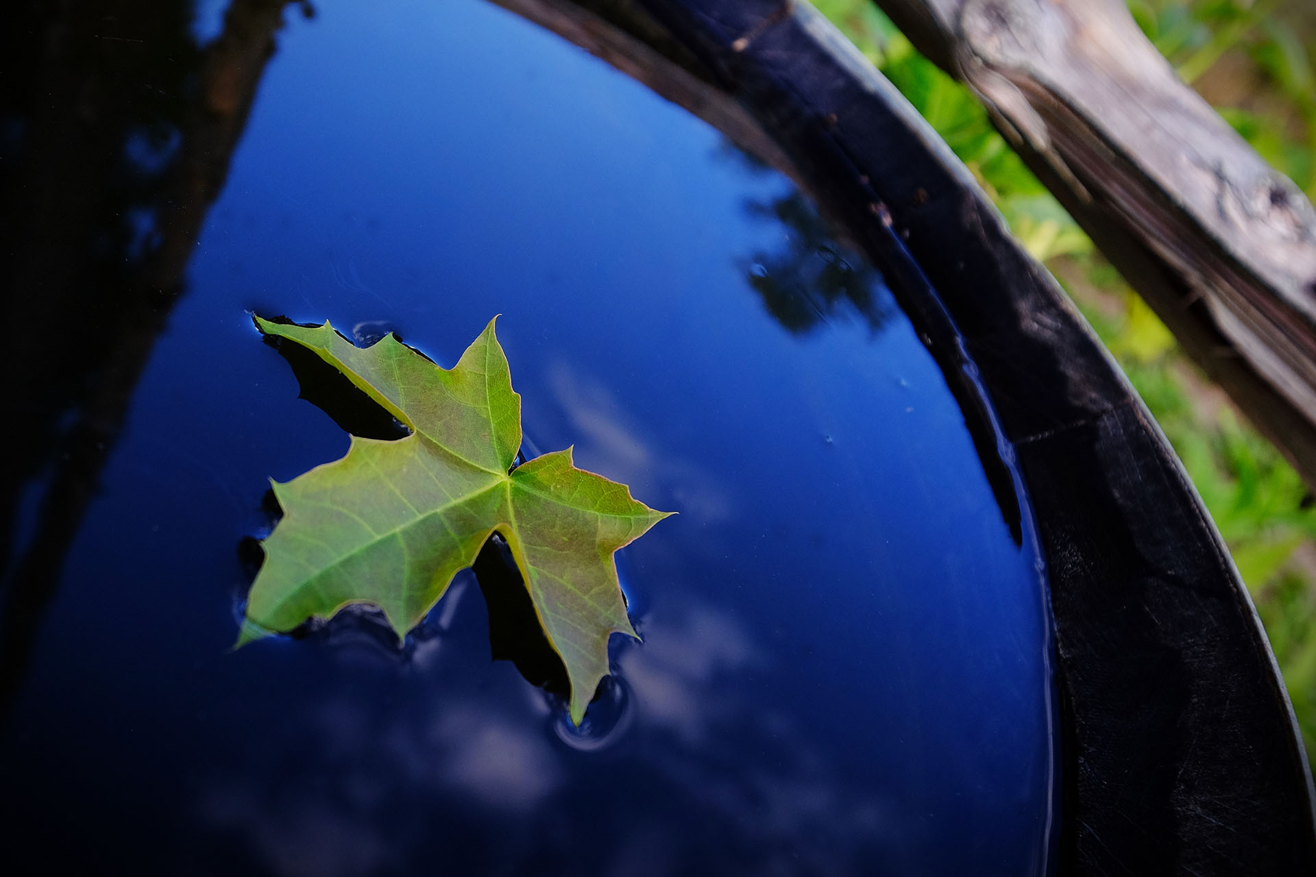 Ett löv som flyter i vatten där himlen speglar sig.