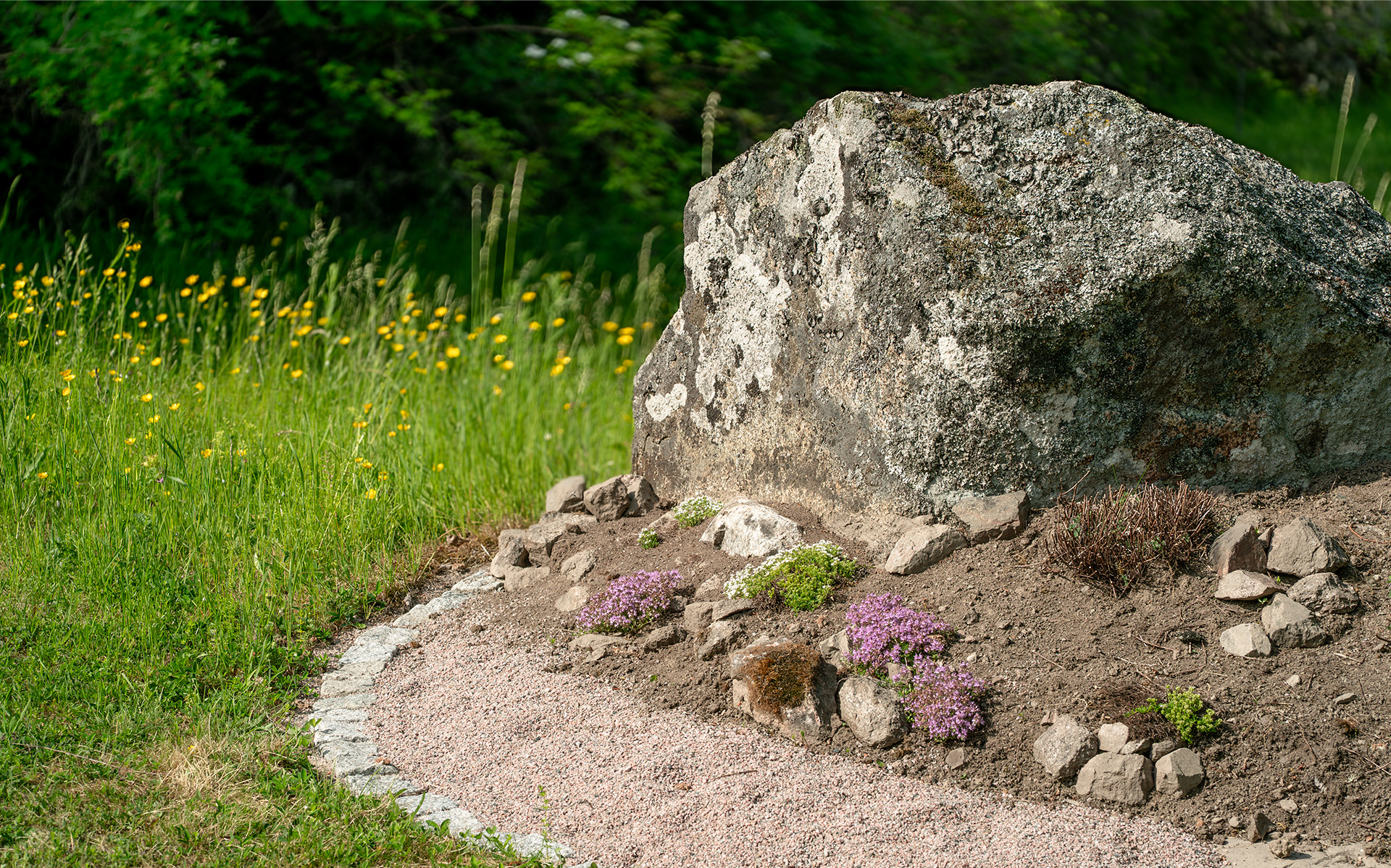 Stor minnessten på en äng i Berthåga minneslund, omgiven av gula blommor och grönska. Runt stenen finns lila och vita blommor i en stenrabatt. I förgrunden syns grus som ramas in av fyrkantiga stenar.