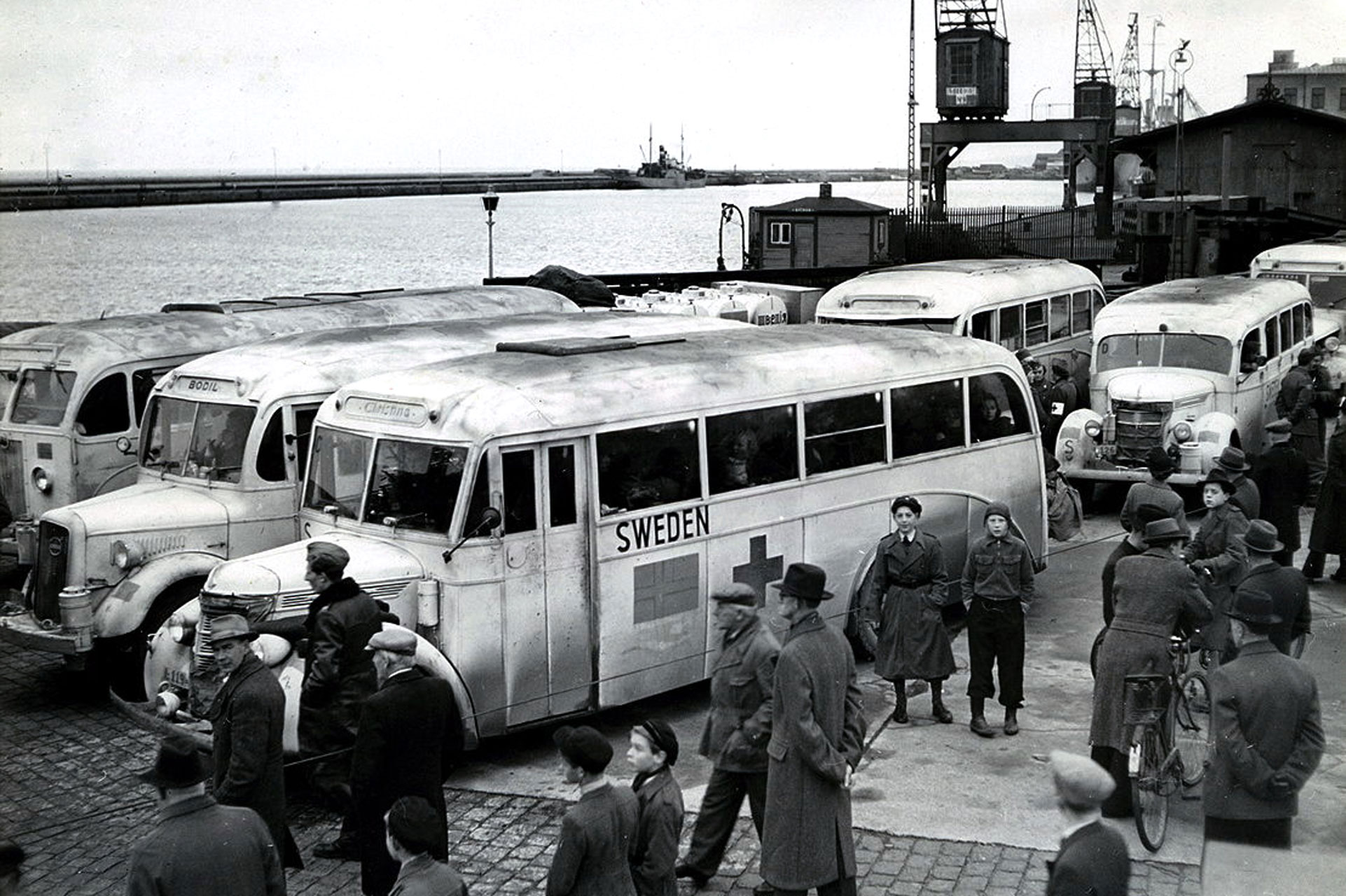 Svartvit bild med sex vita bussar i Malmö hamn med passerande eller väntande människor..