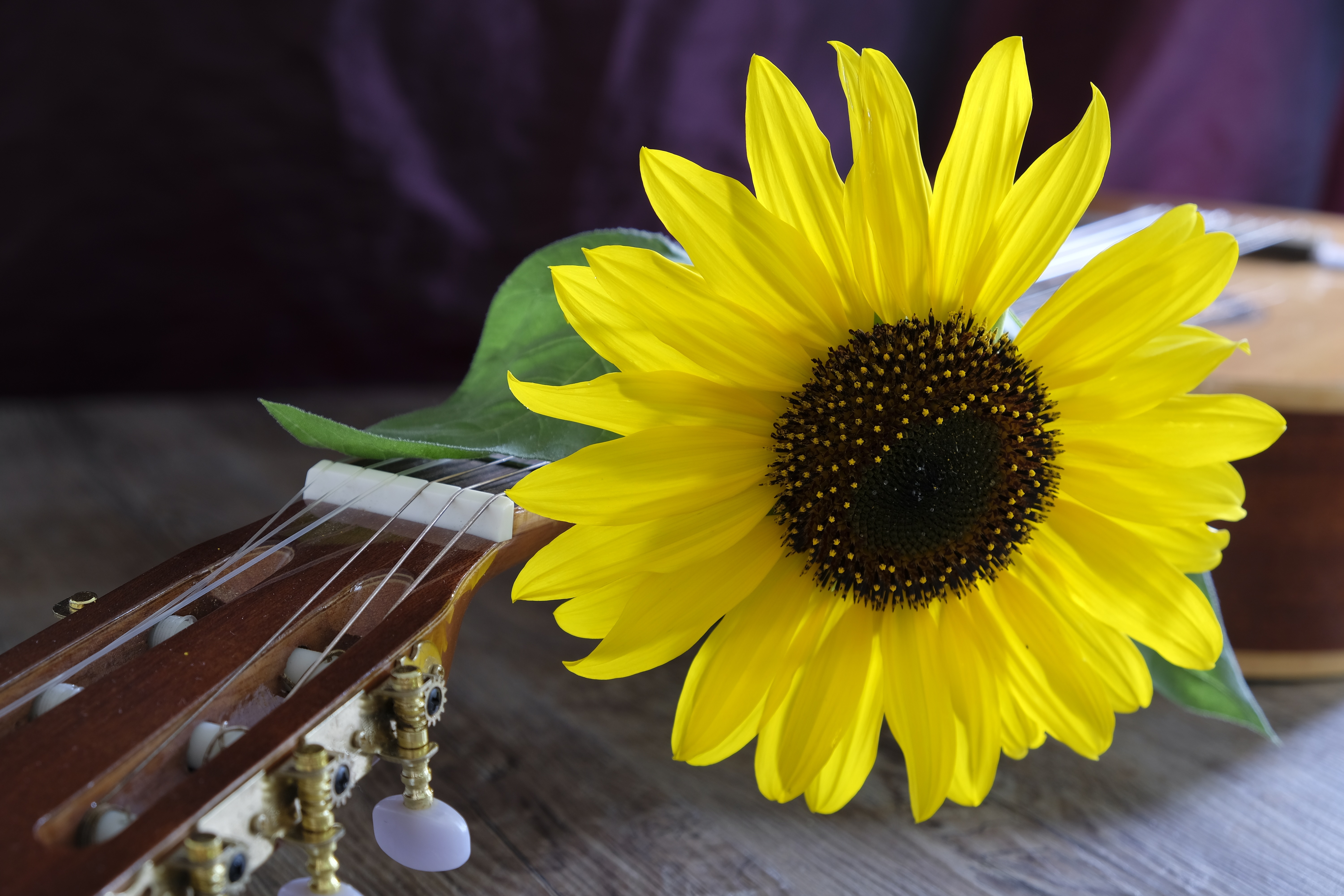 Sommarmusik