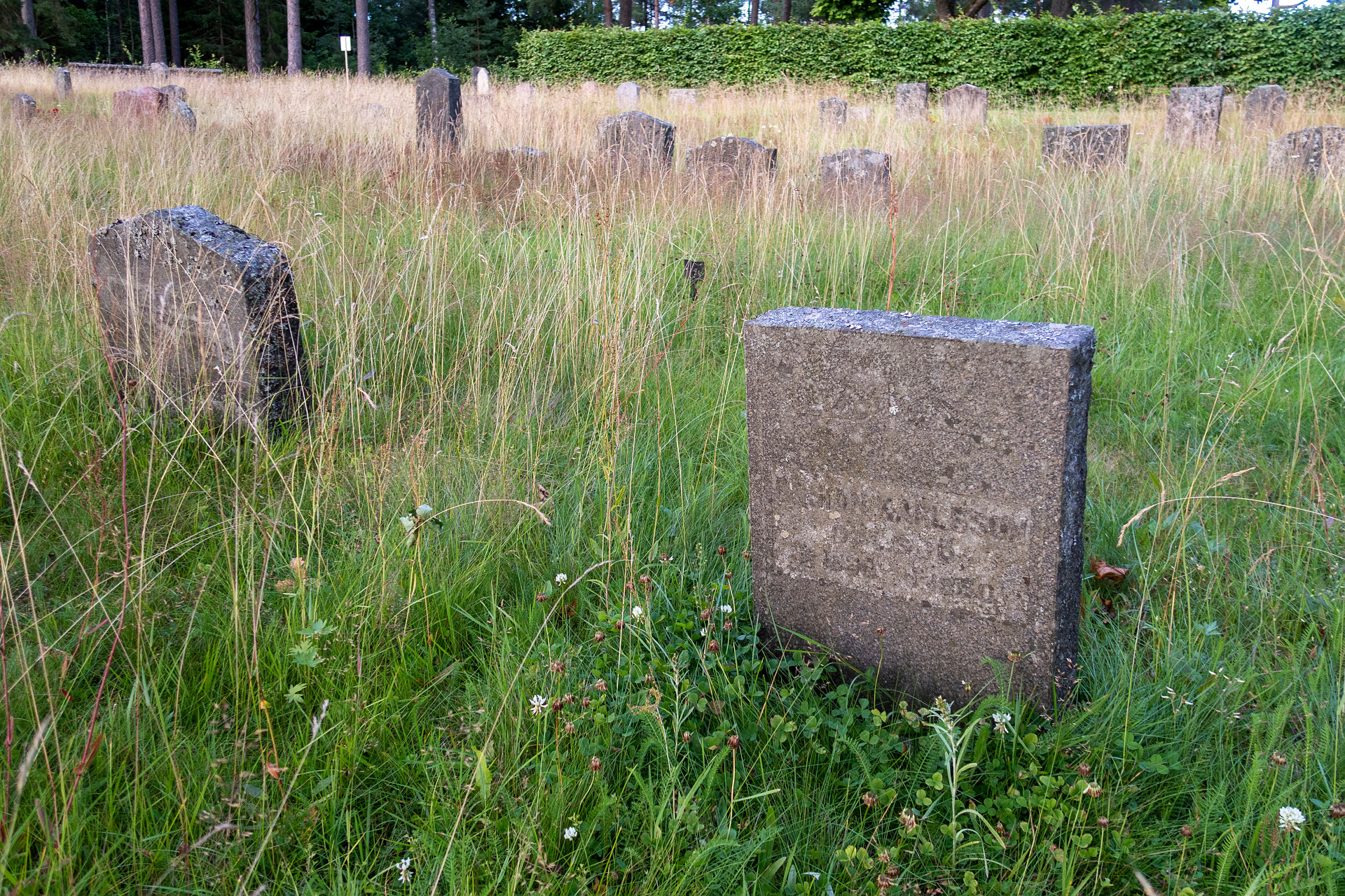 Gammal gravsten på äng