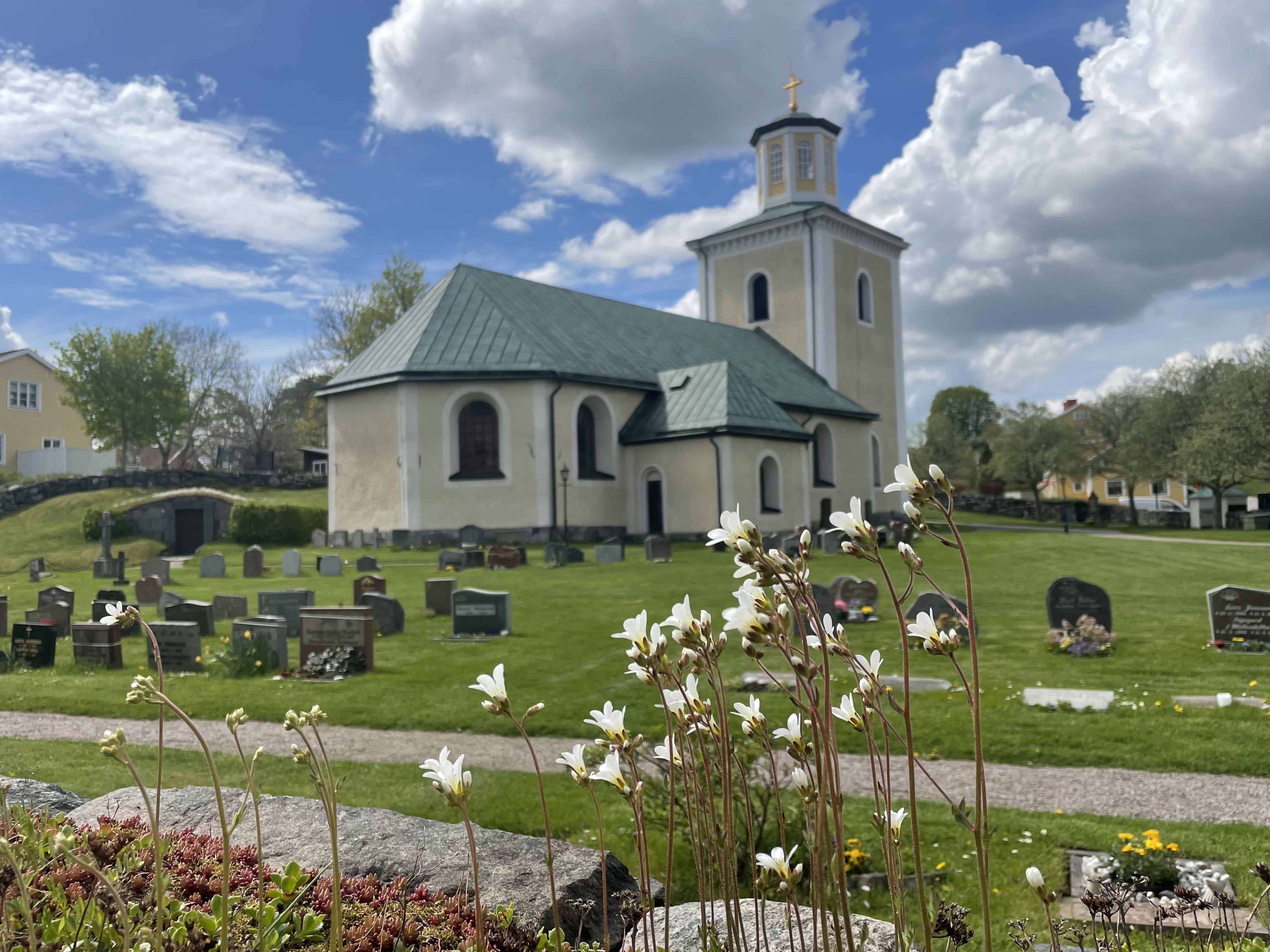 Östhammars kyrka Mandelblom i förgrunden