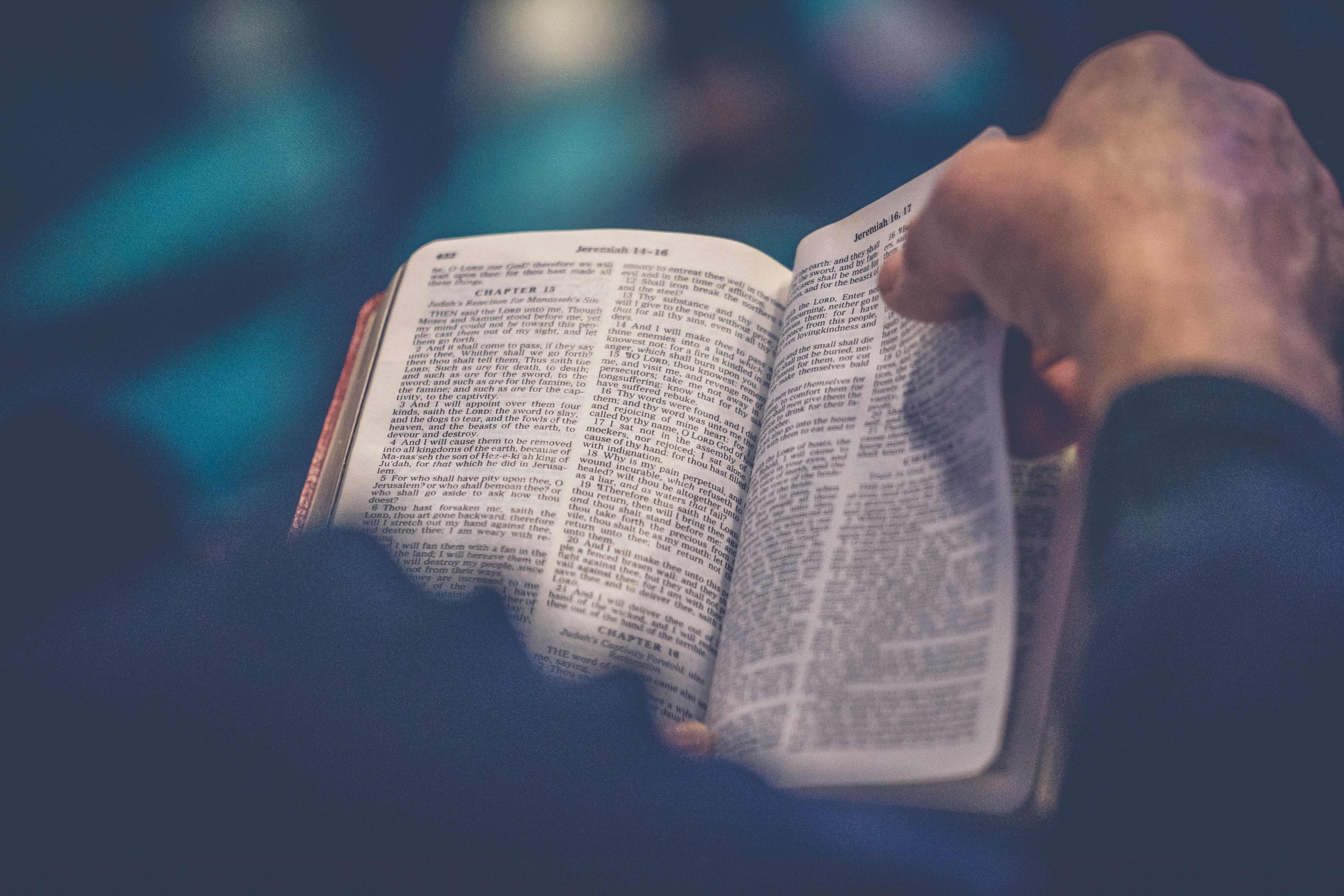 någon som läser en bibel