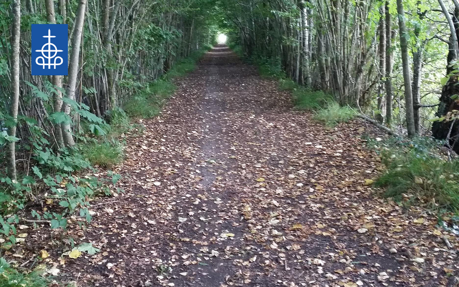 pilgrimsvandring