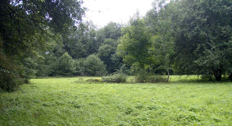 Broby Äng naturreservat