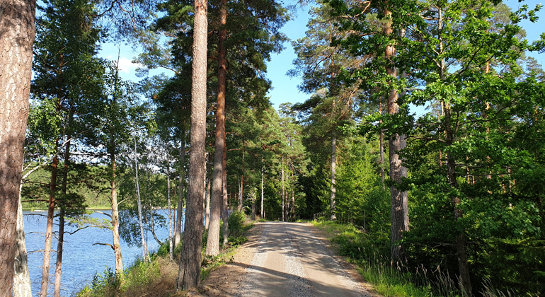Vägen utmed Glindranåsen