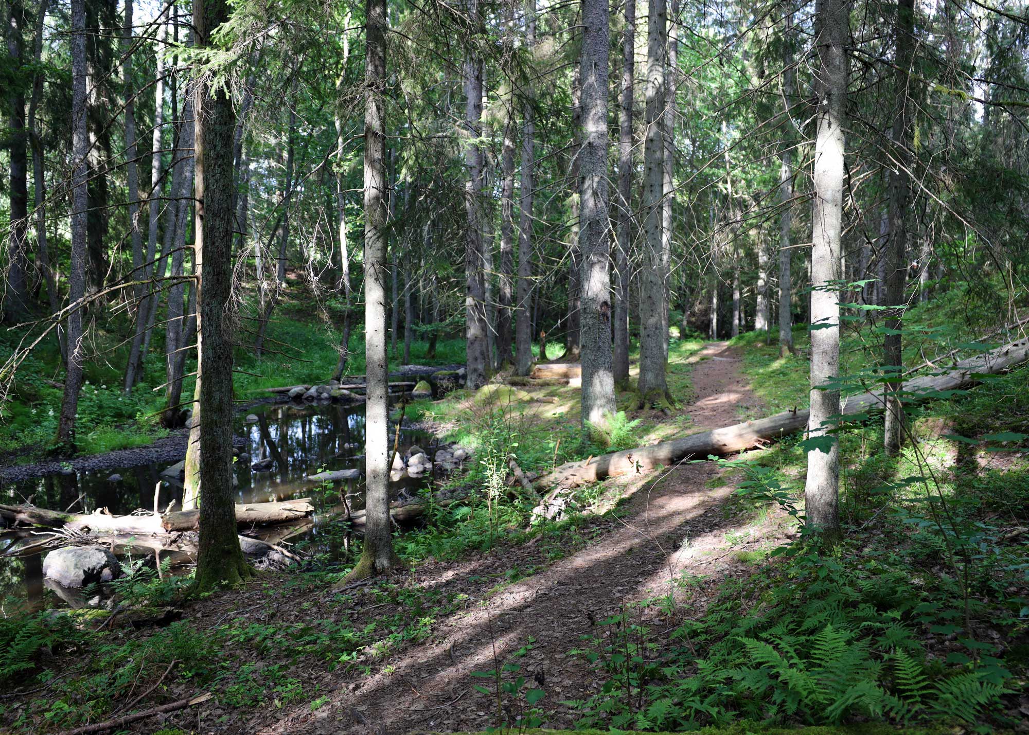 Trollskogen kyrkoreservat