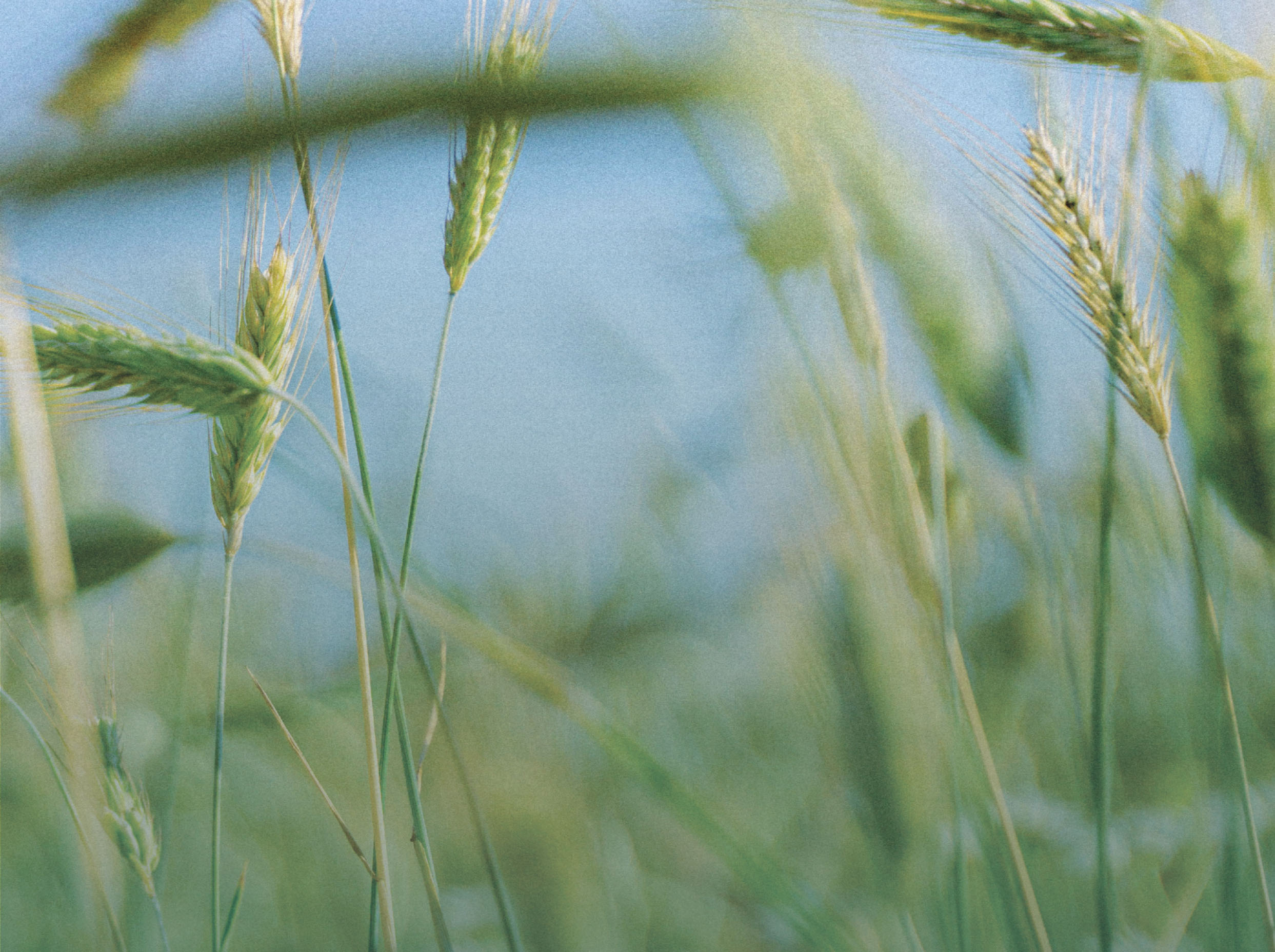 Natur