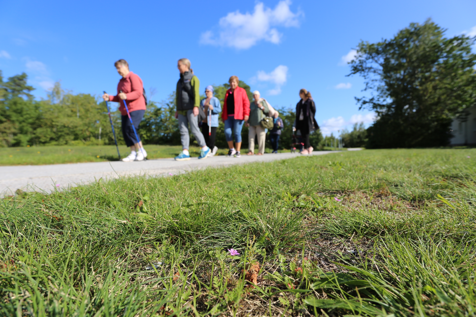 Måbra-promenad i Terra Nova