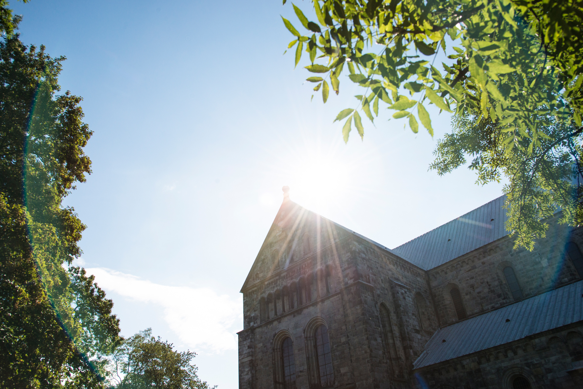 Solsken över tvärskeppet. I hörnen syns gröna löv.