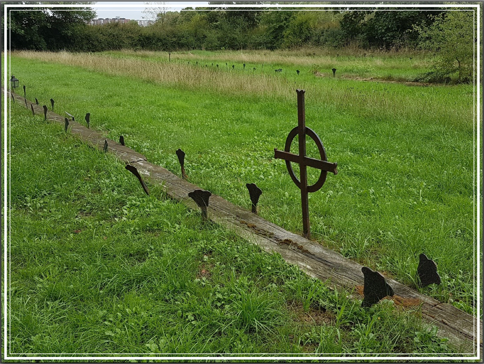 Vy över Sankt Lars kyrkogård med järnkors och järntulpaner