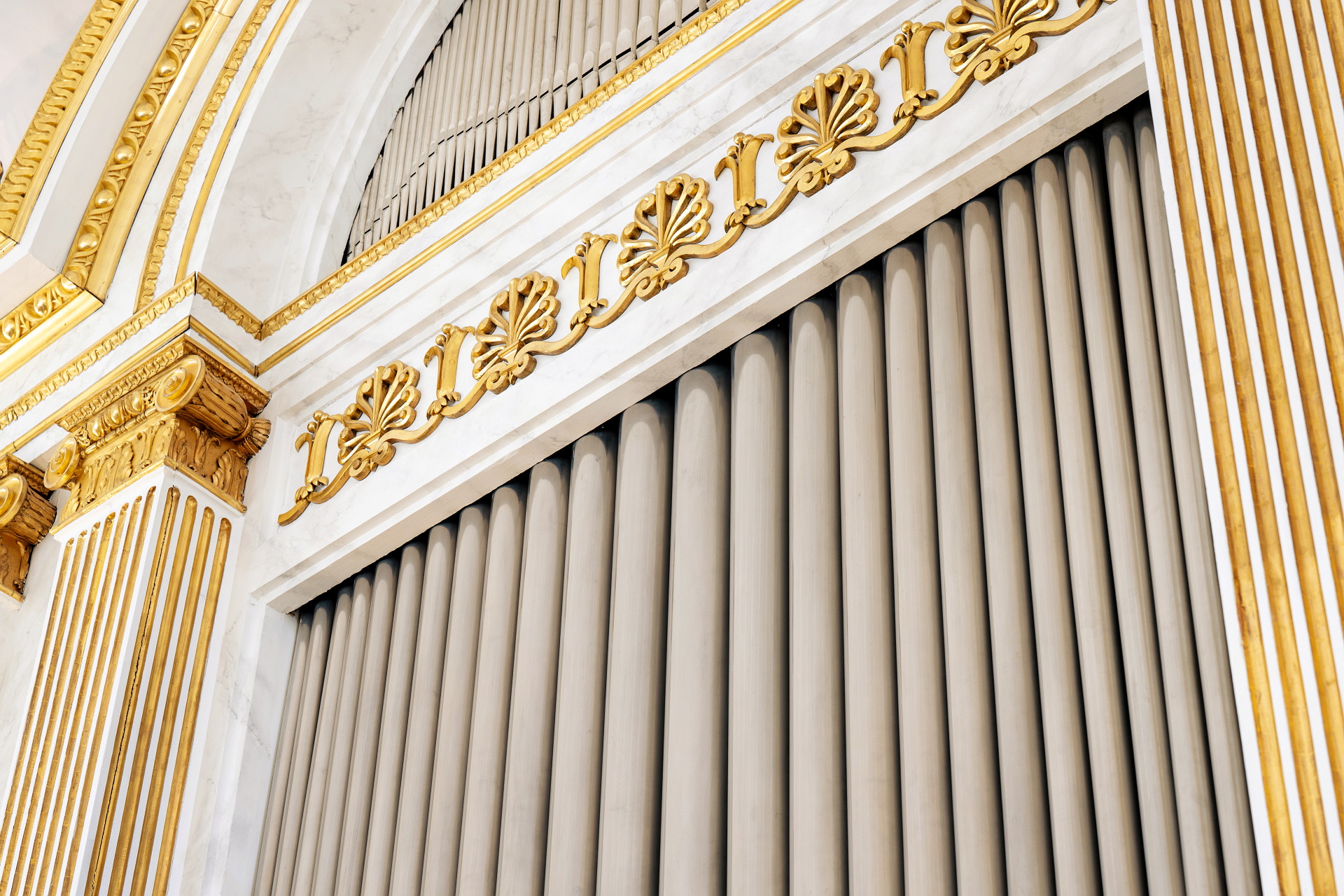 Orgel domkyrkan