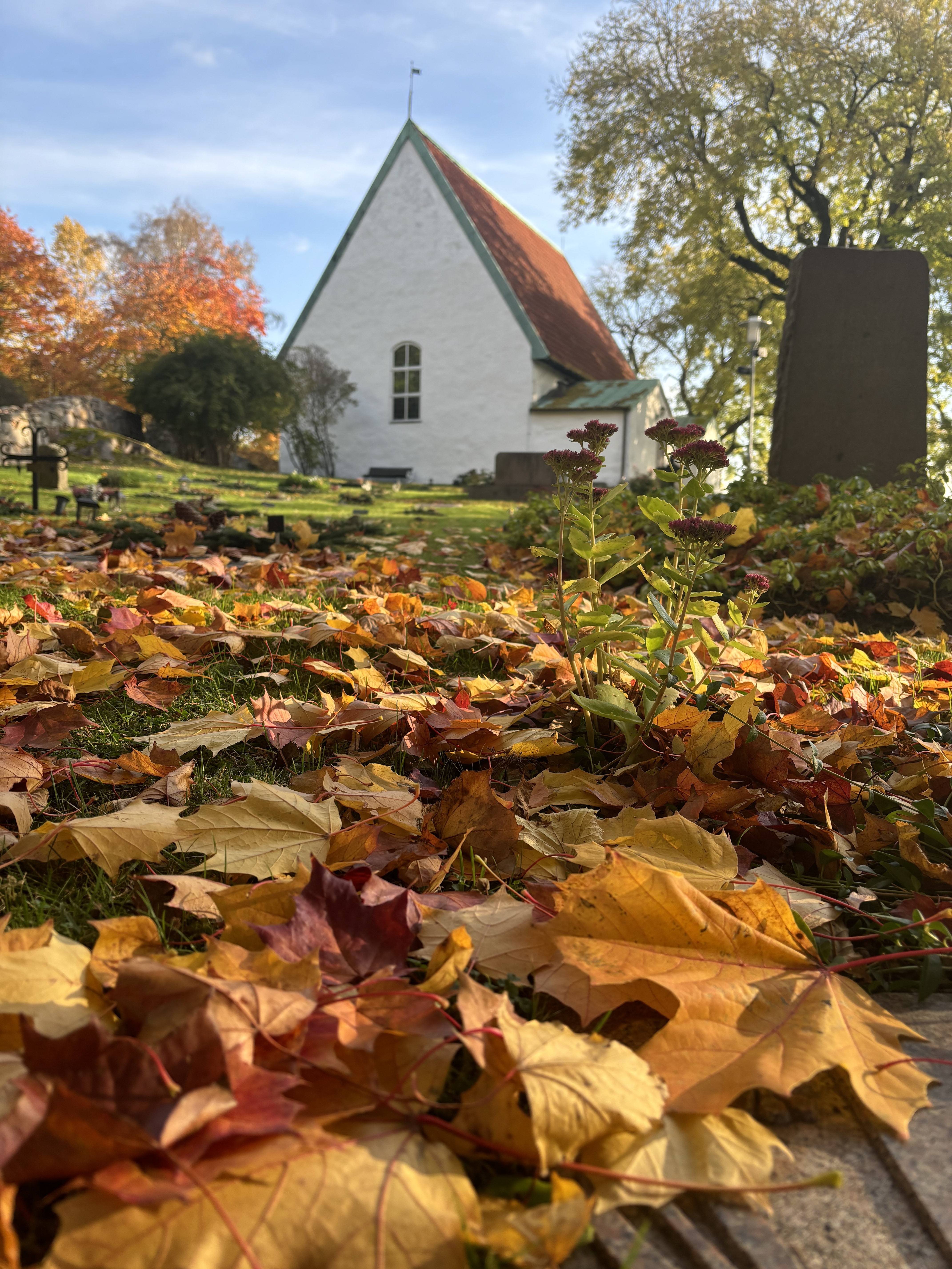 Lundby gamla kyrka i bakgrunden. Framför ligger ett fält av färggranna löv på gräsmattan. 