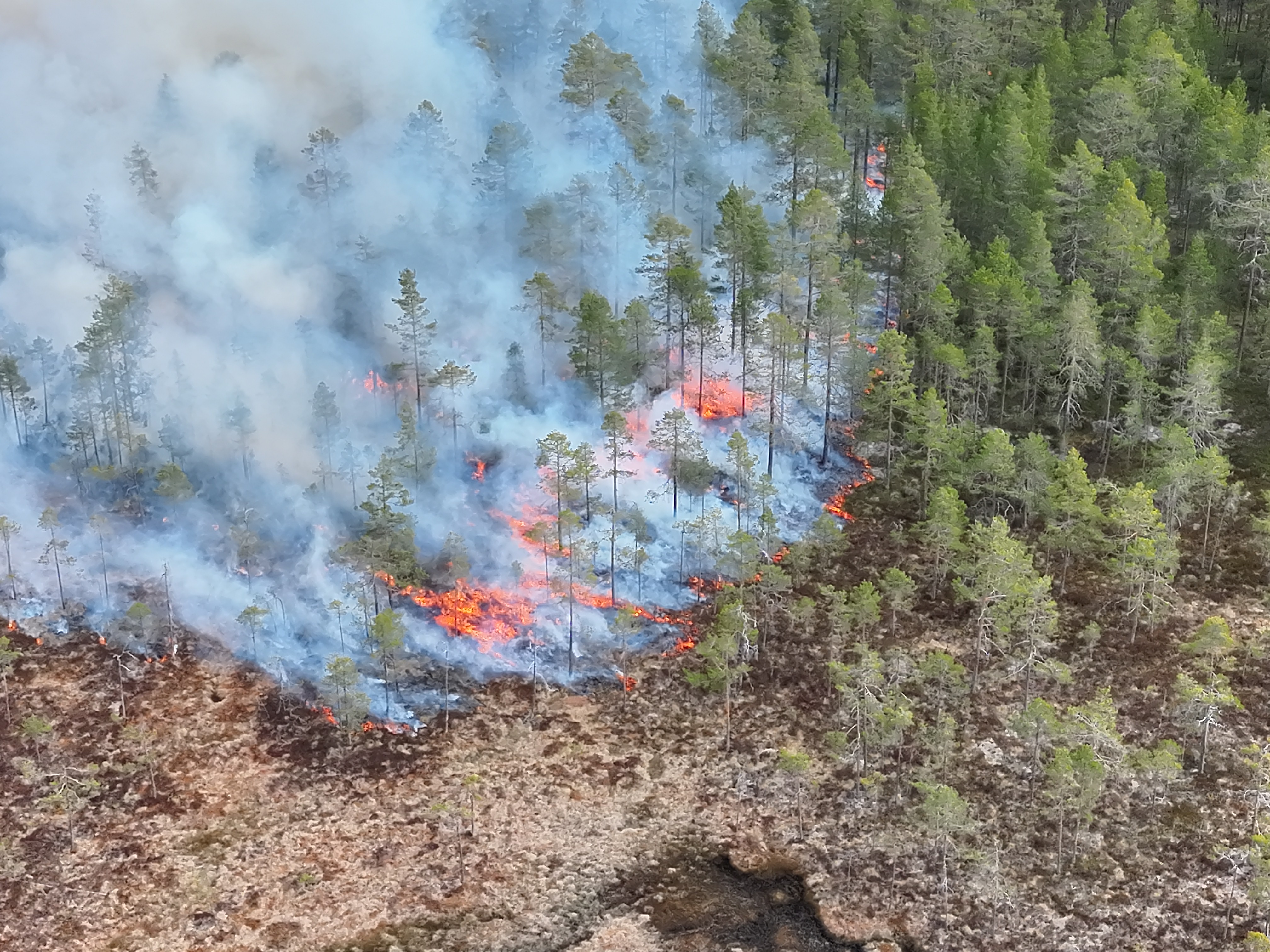 Flygfoto över naturvårdsbränning