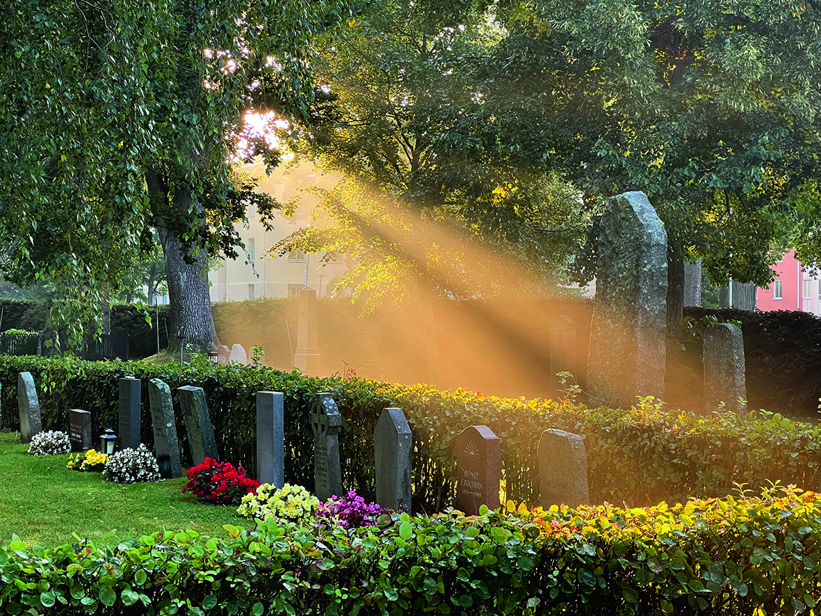 Solen strålar över gravar