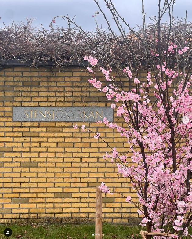 En gul tegelbyggnad med inskriptionen "Stensjökyrkan". Till höger ett blommande rosa körsbärsträd. 