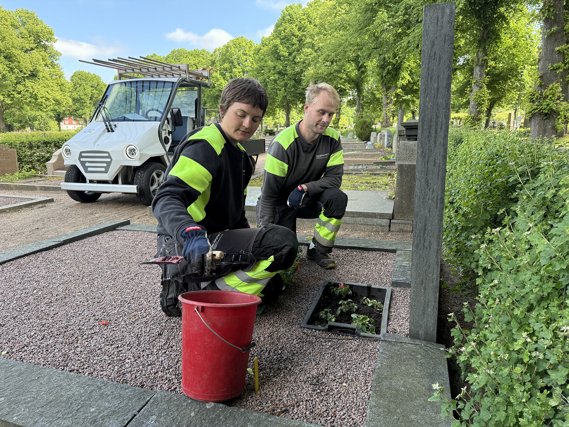 Två personer i arbetskläder med vard hink och planteringsspade på en gravplats. I bakgrunden ett arbetsfordon, gröna träd och buskar och gravstenar.