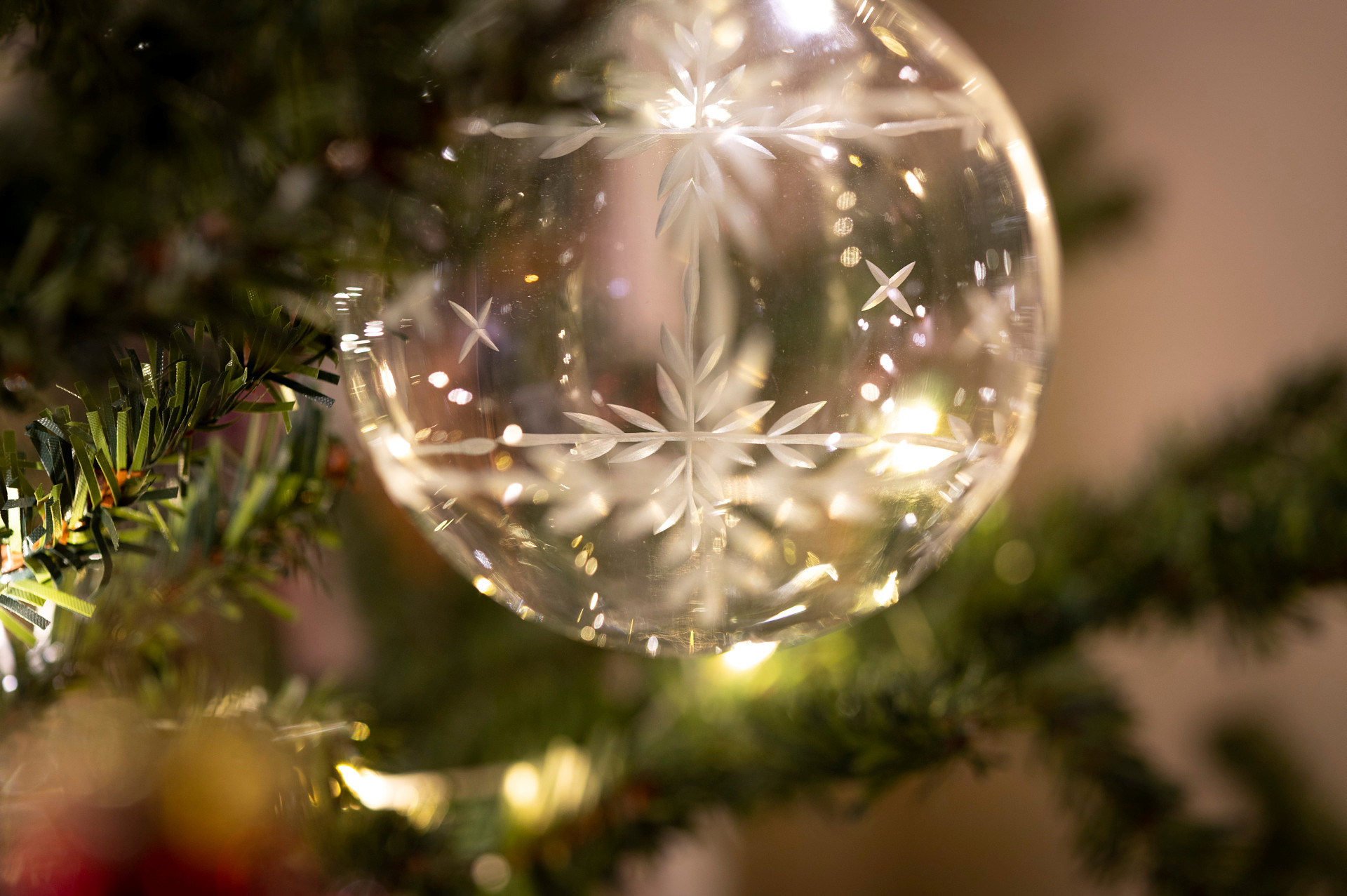 Genomskinlig glaskula på grangren