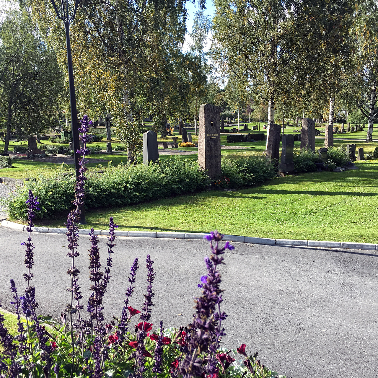 Sommarblommor i förgrunden med kyrkogård och gravar i bakgrunden