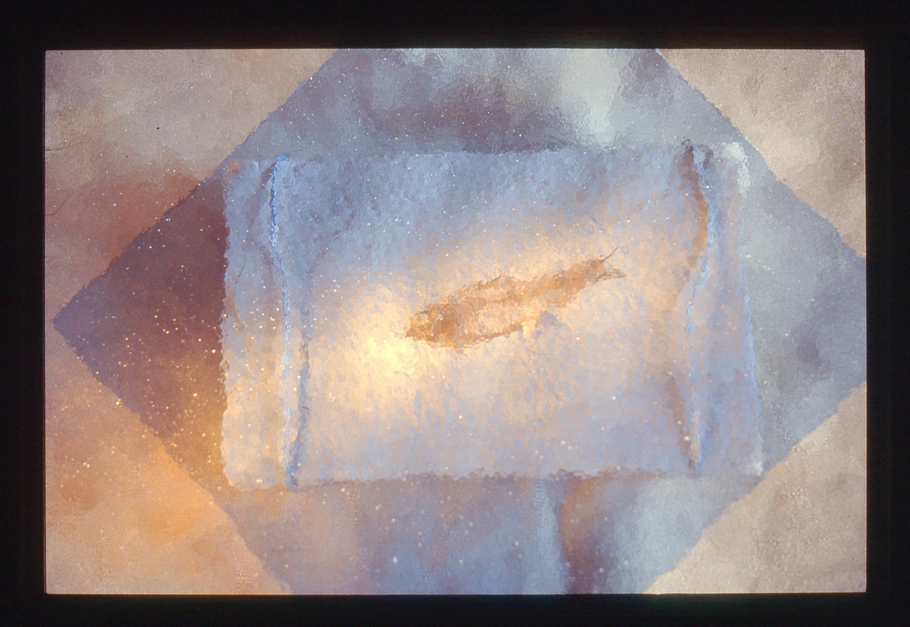 Bild på fossilfisk sedd genom råglas