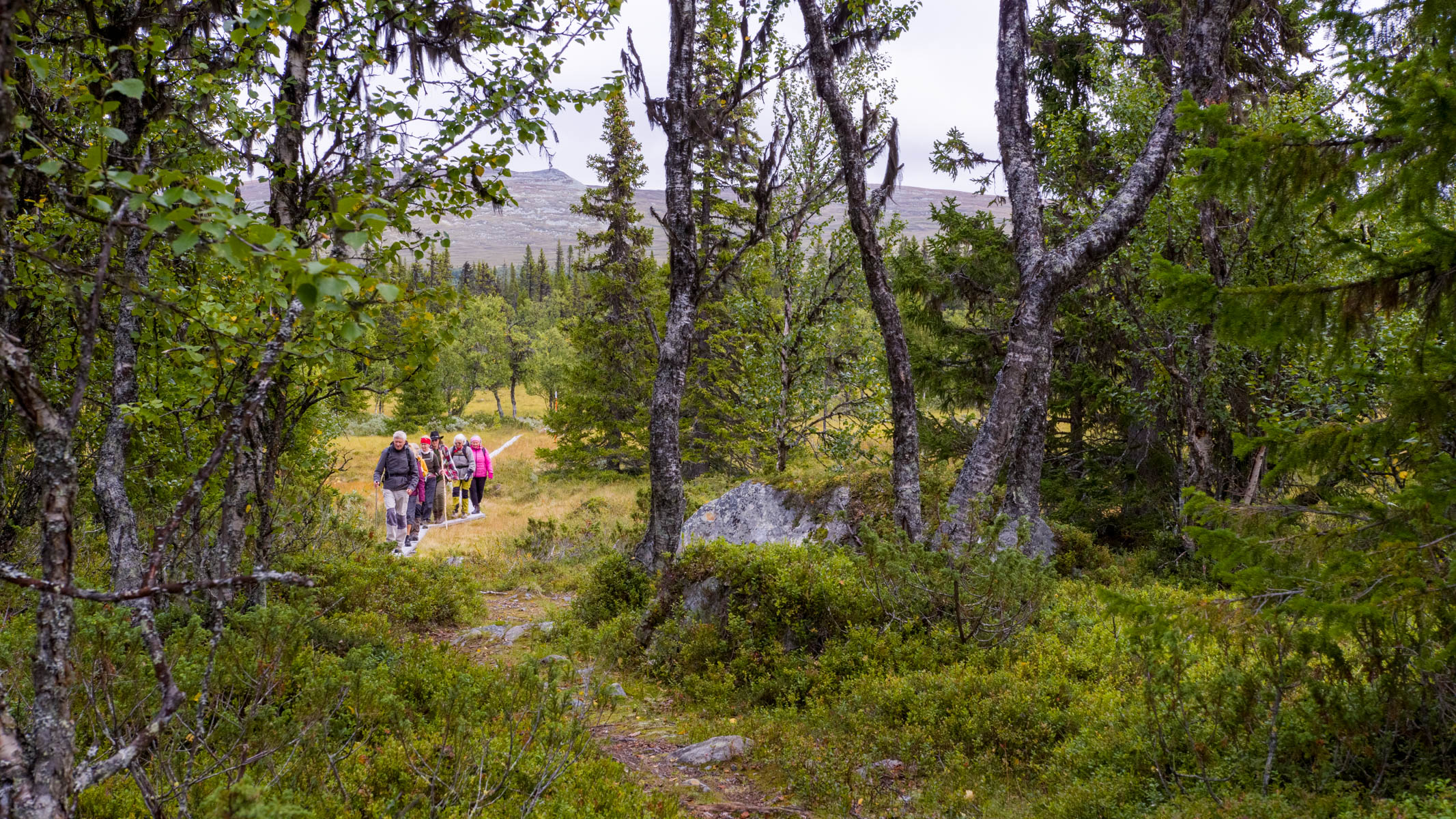 Vandrare som pilgrimsvandrar över fjället