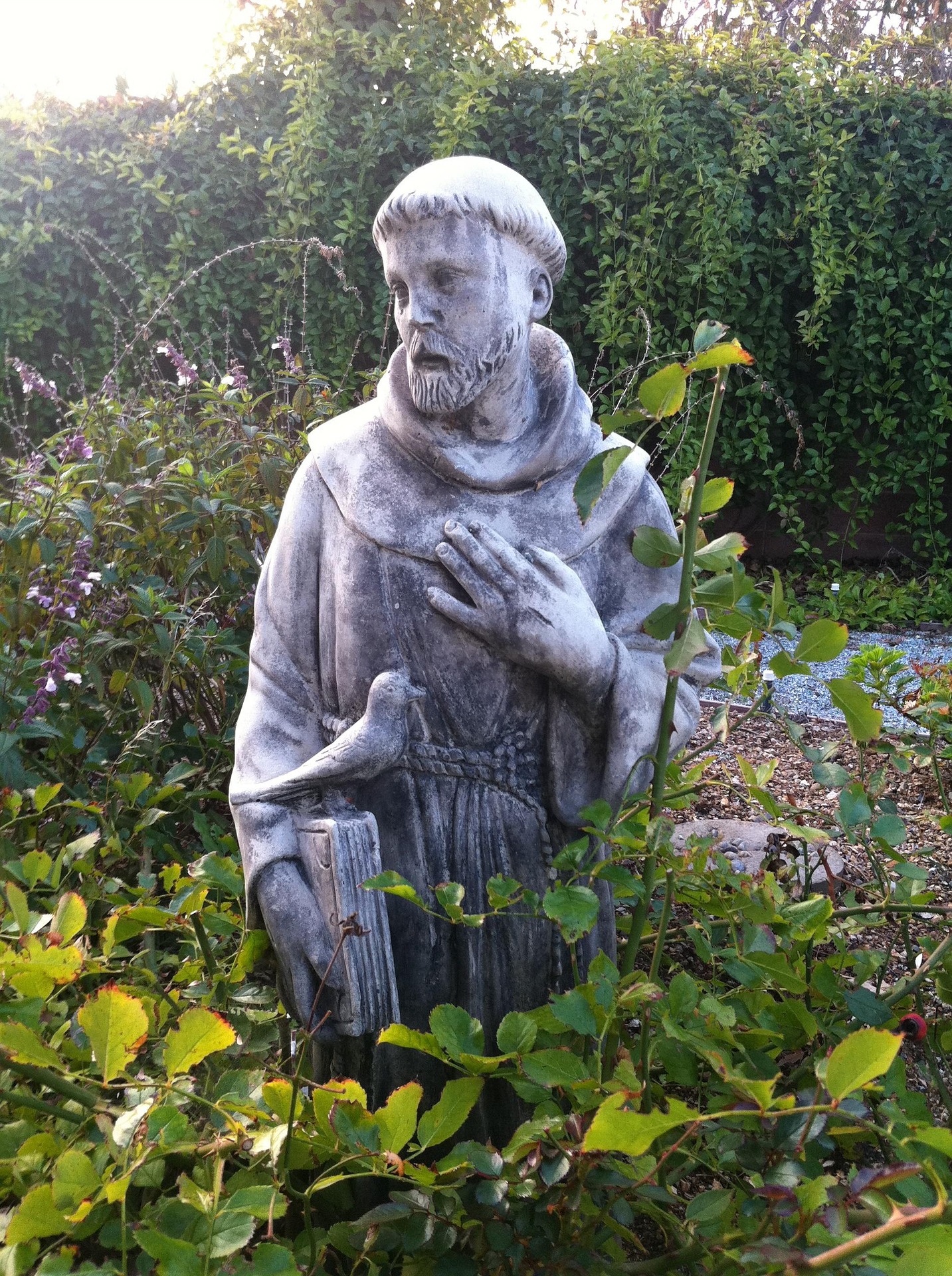 Skulptur av den helige Franciskus i en trädgårdsplantering.
