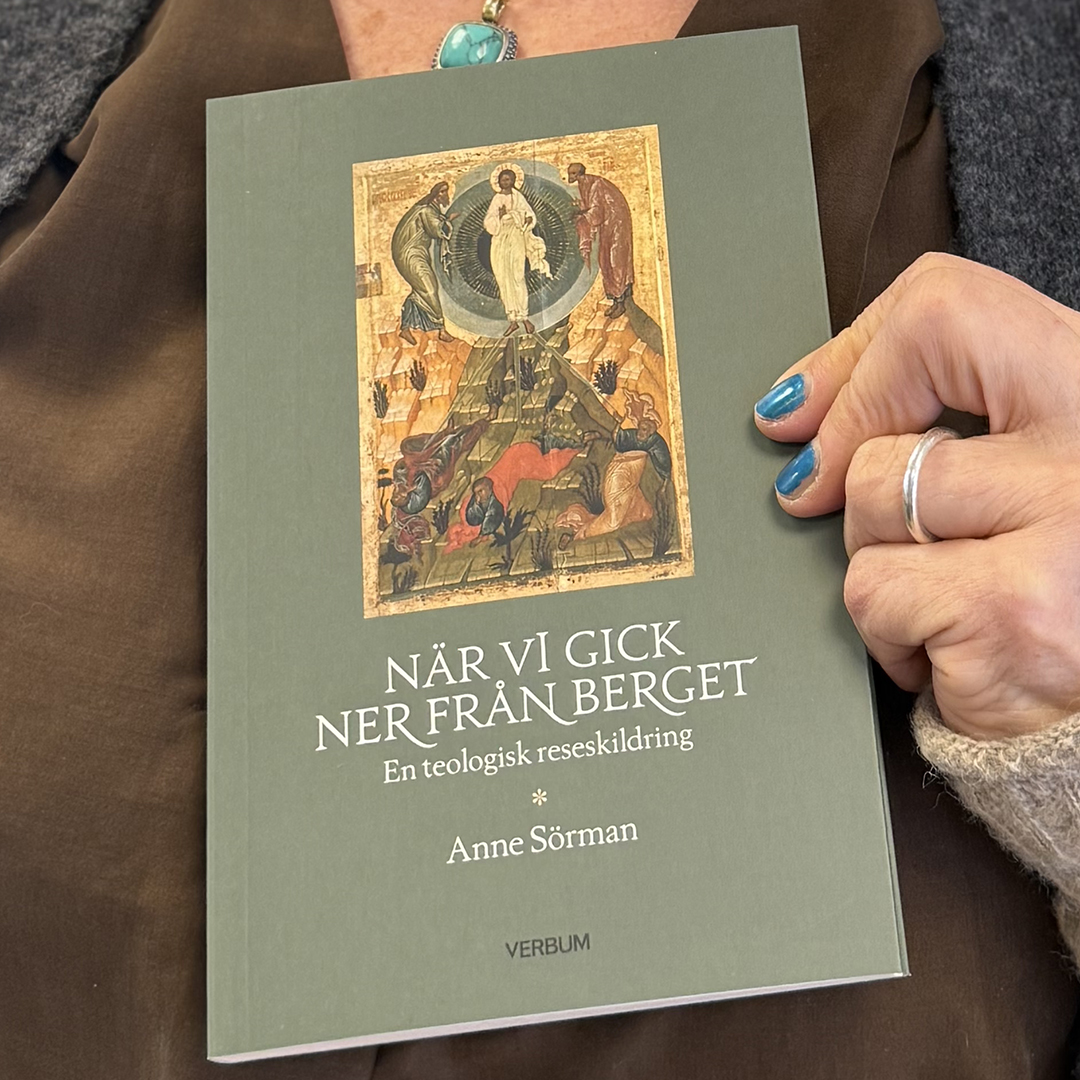 Anne Sörmans bok När vi gick ner från berget.