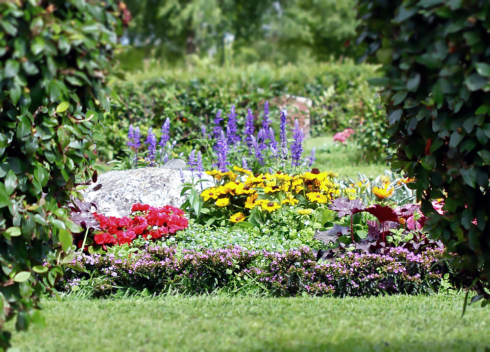 Färggranna blommor vid grav