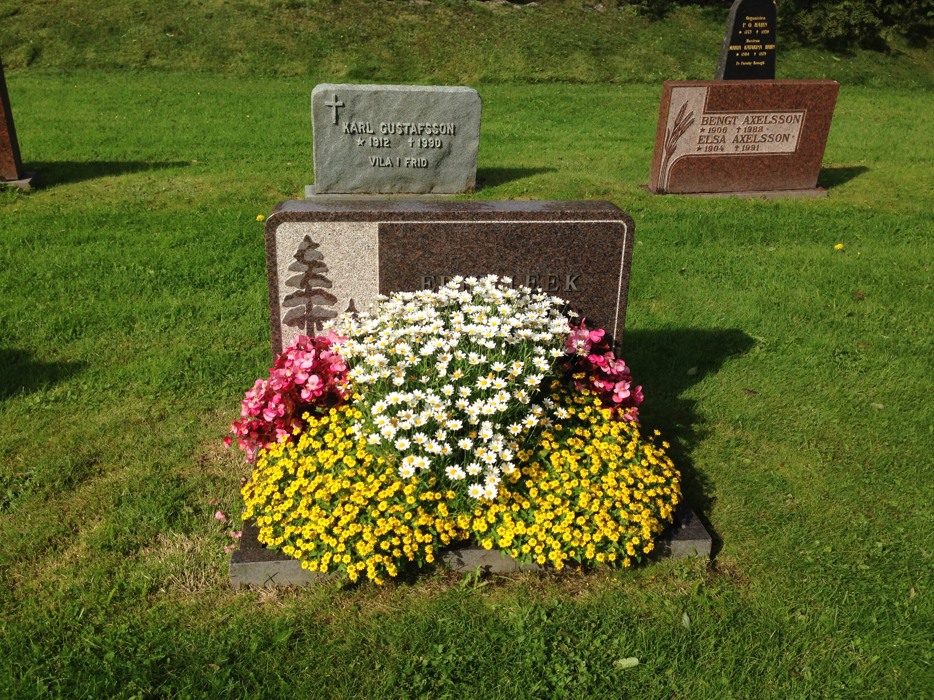 Gravskötsel sommarblommor