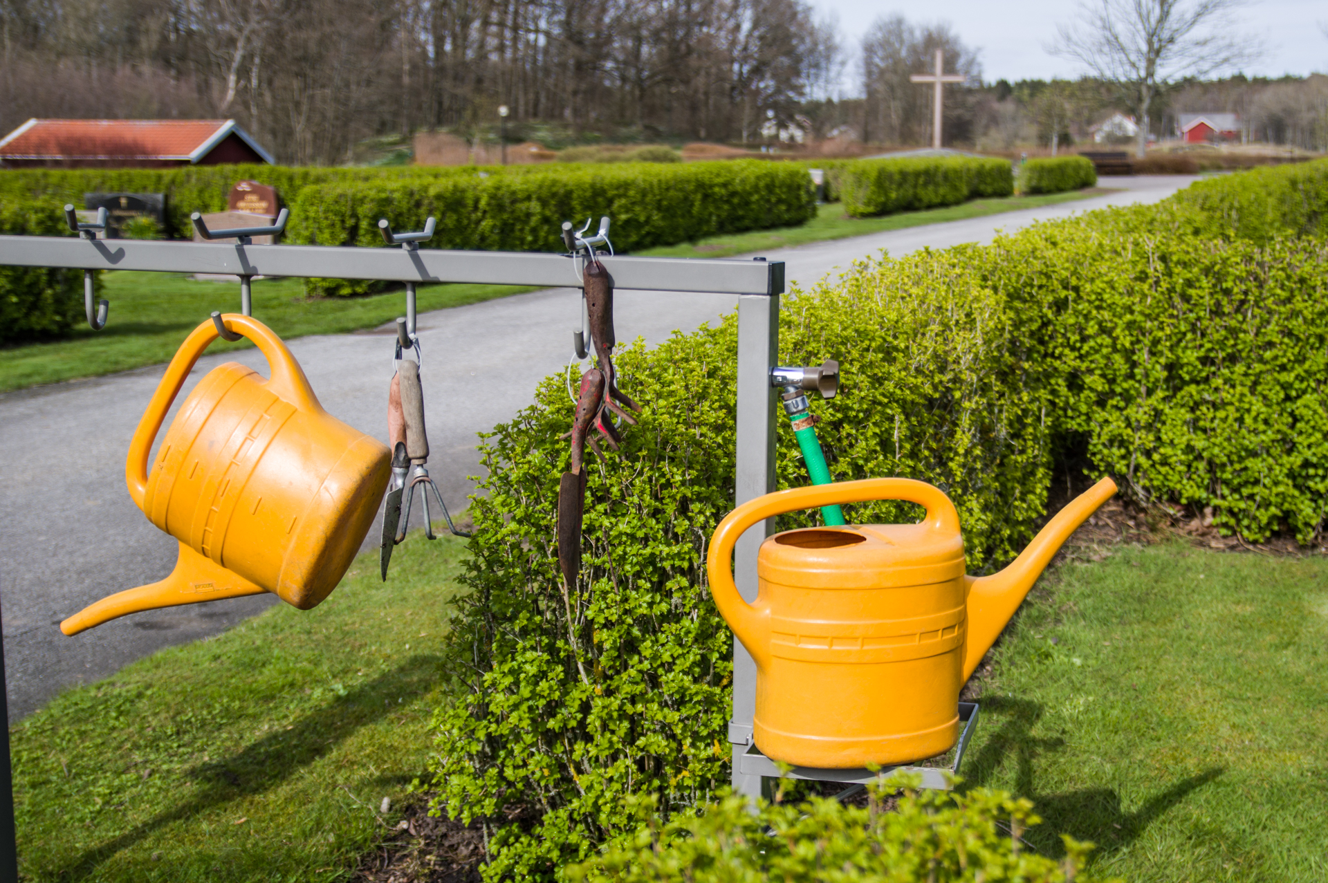Gula vattenkannor på kyrkogård