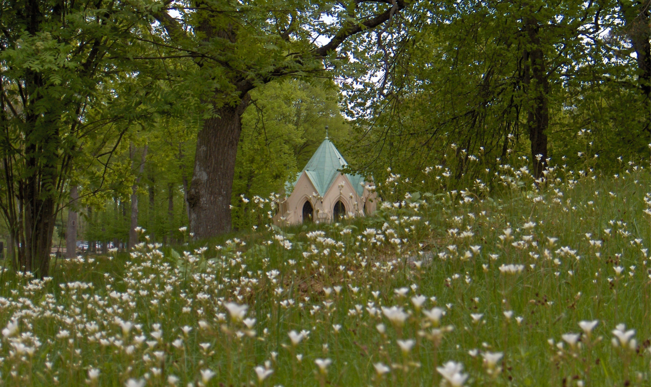 gamla kapellet vita blommor