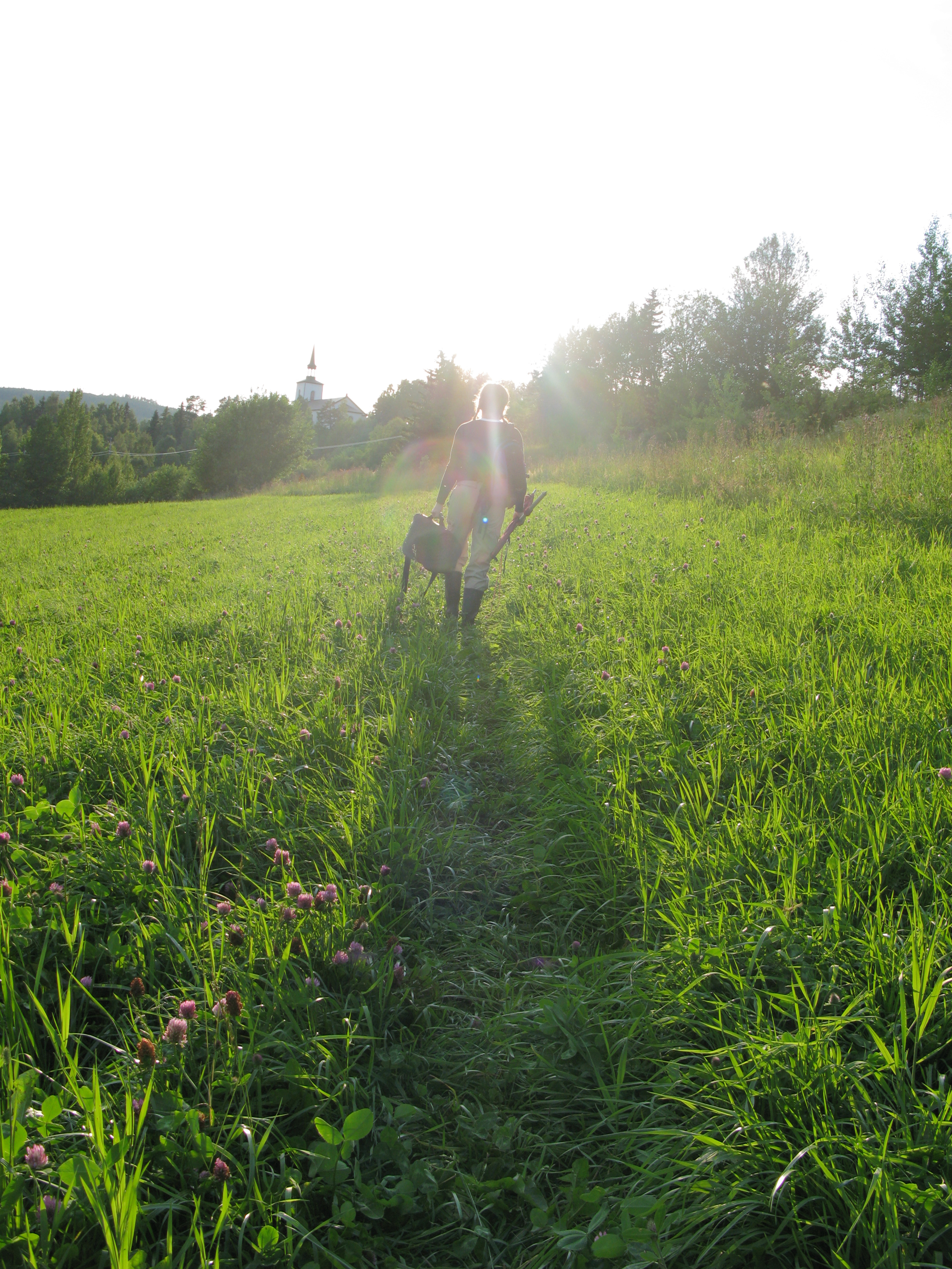 Någon går över en solig äng med redskap i händerna.