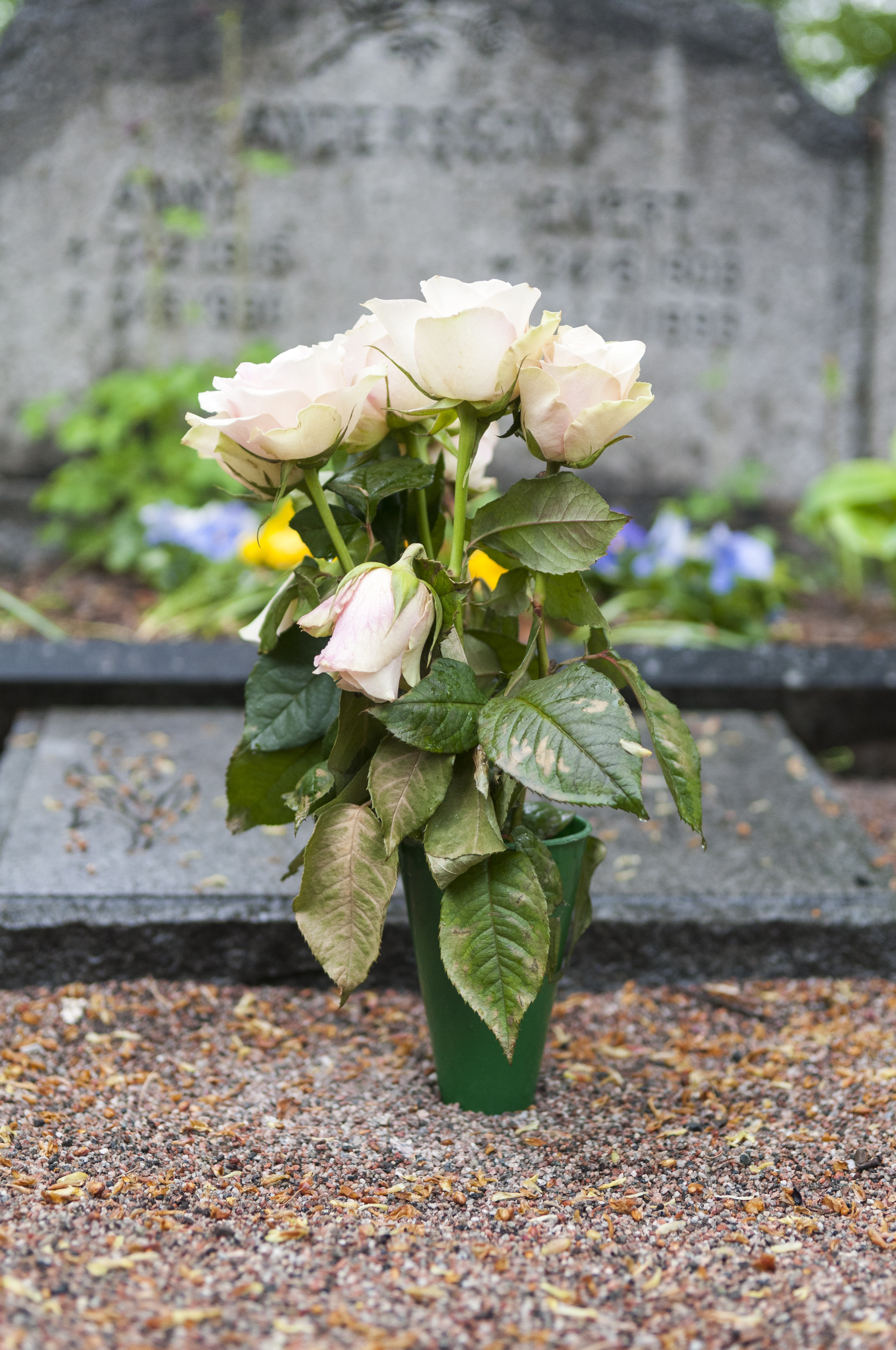 En bukett vita rosor på en grav.