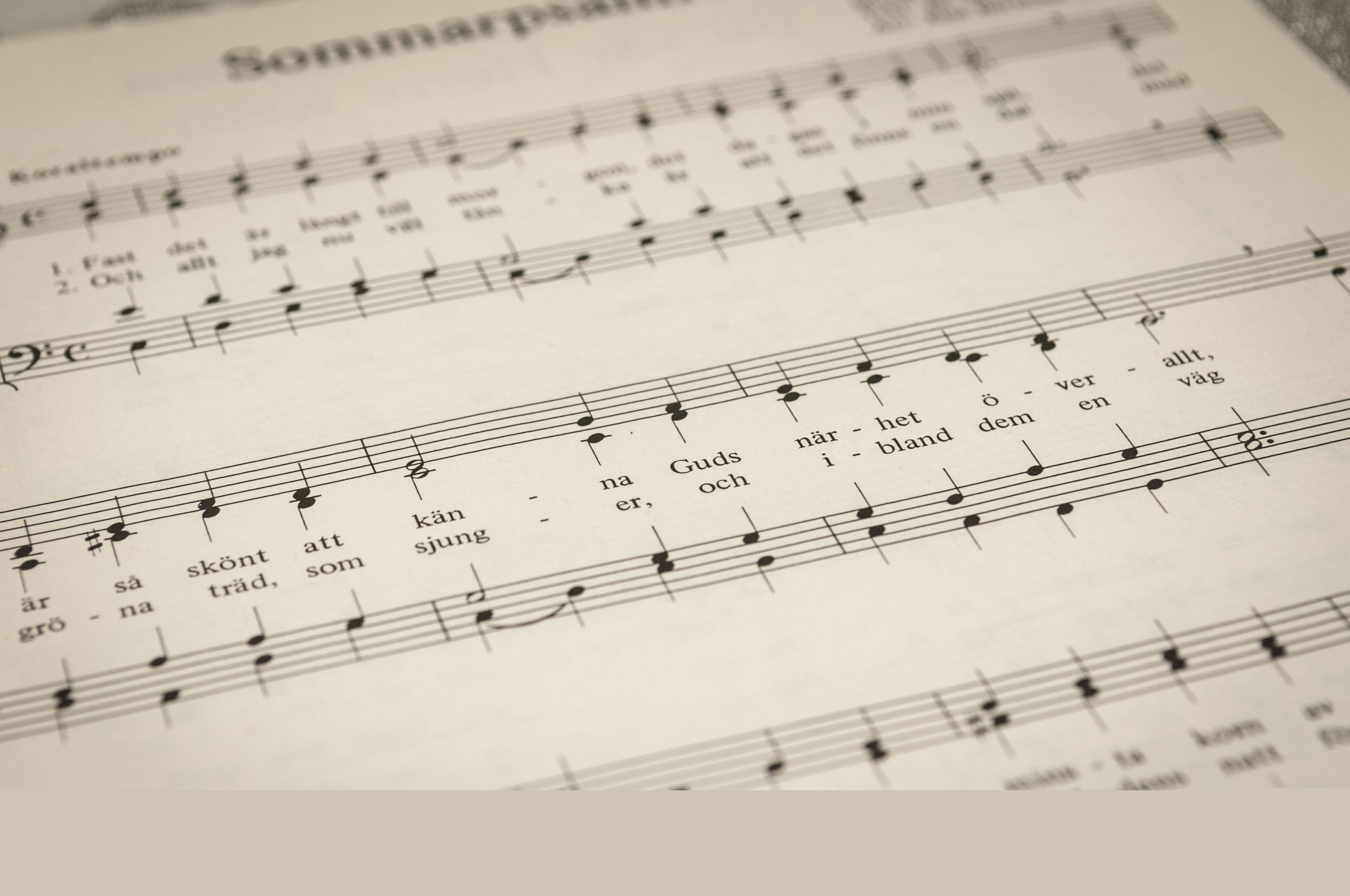 Närbild på ett notblad.