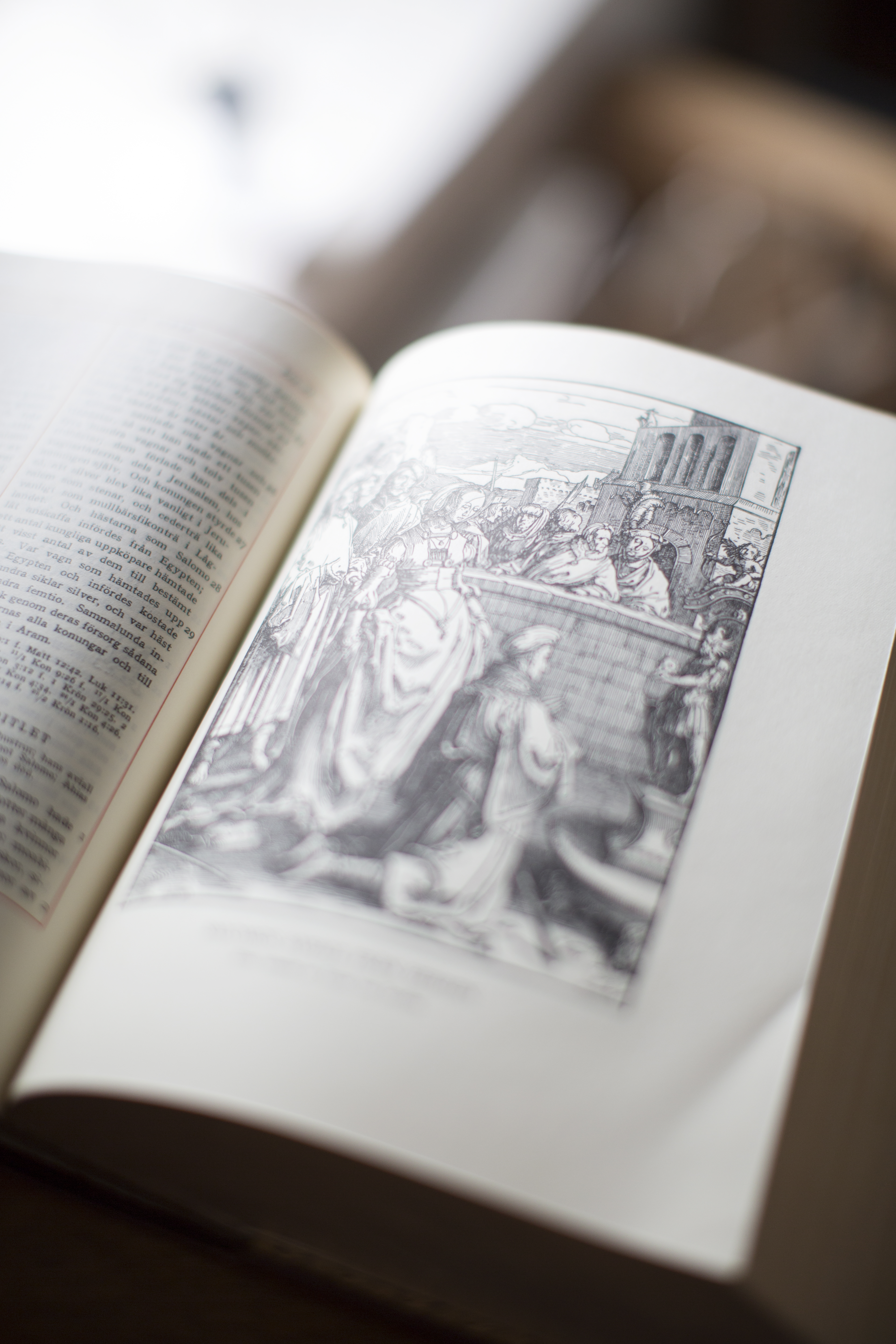 En bild i en uppslagen bibel.