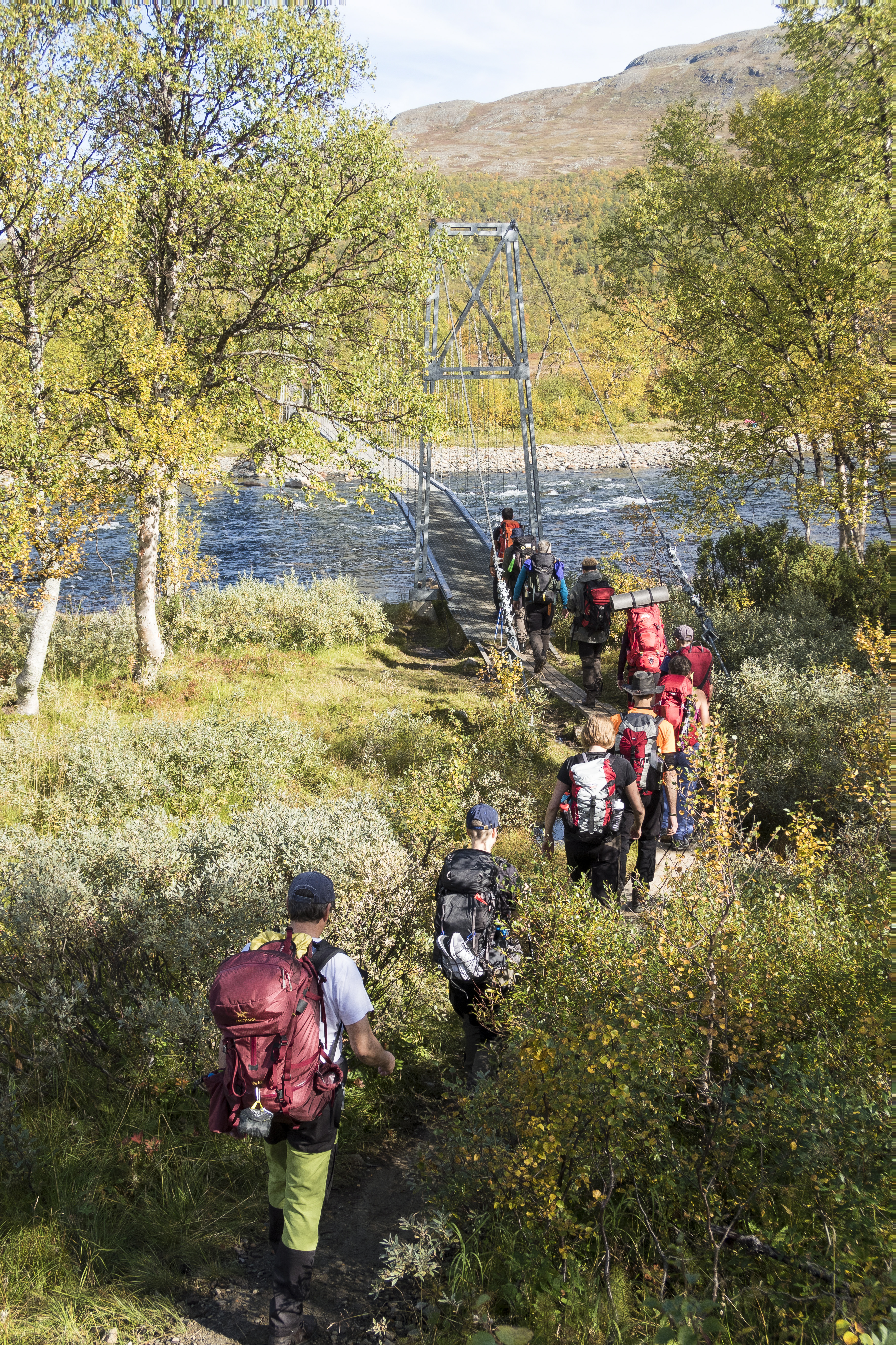 Ett led människor vandrar över en gångbro i fjällen.