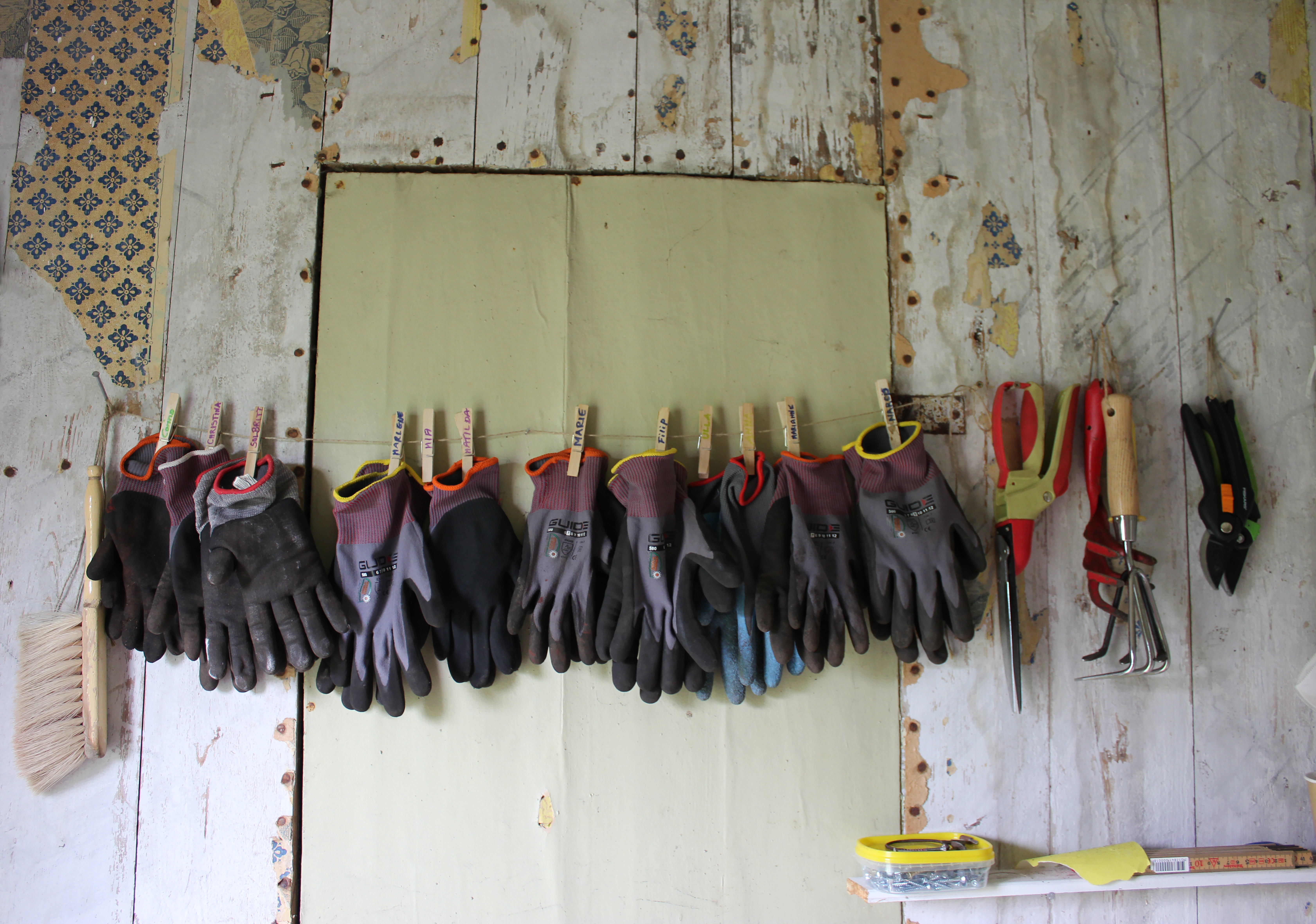 En massa trädgårdshandskar hänger på en tvättlina mot en vägg inomhus.