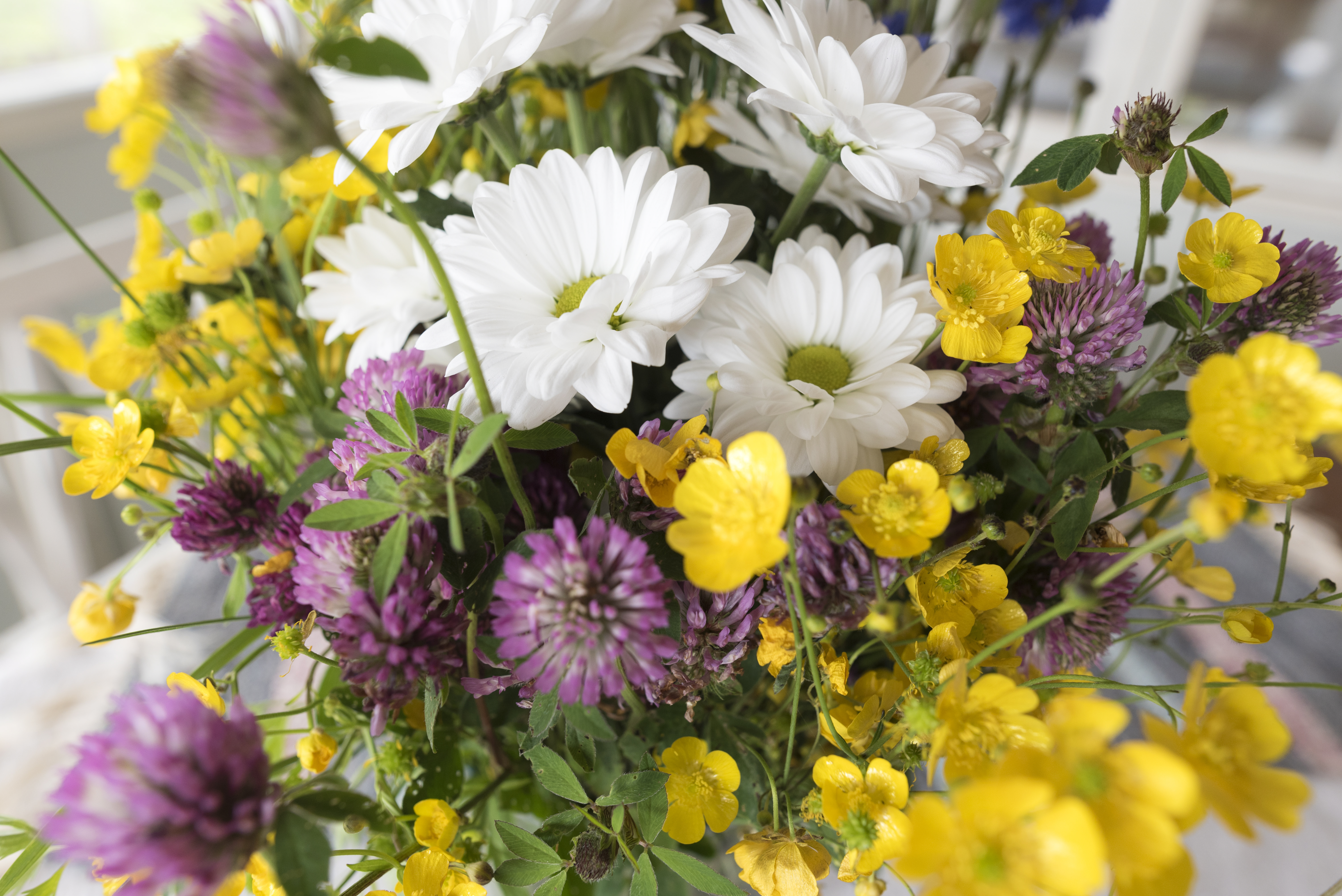 Närbild på en handplockad blombukett.