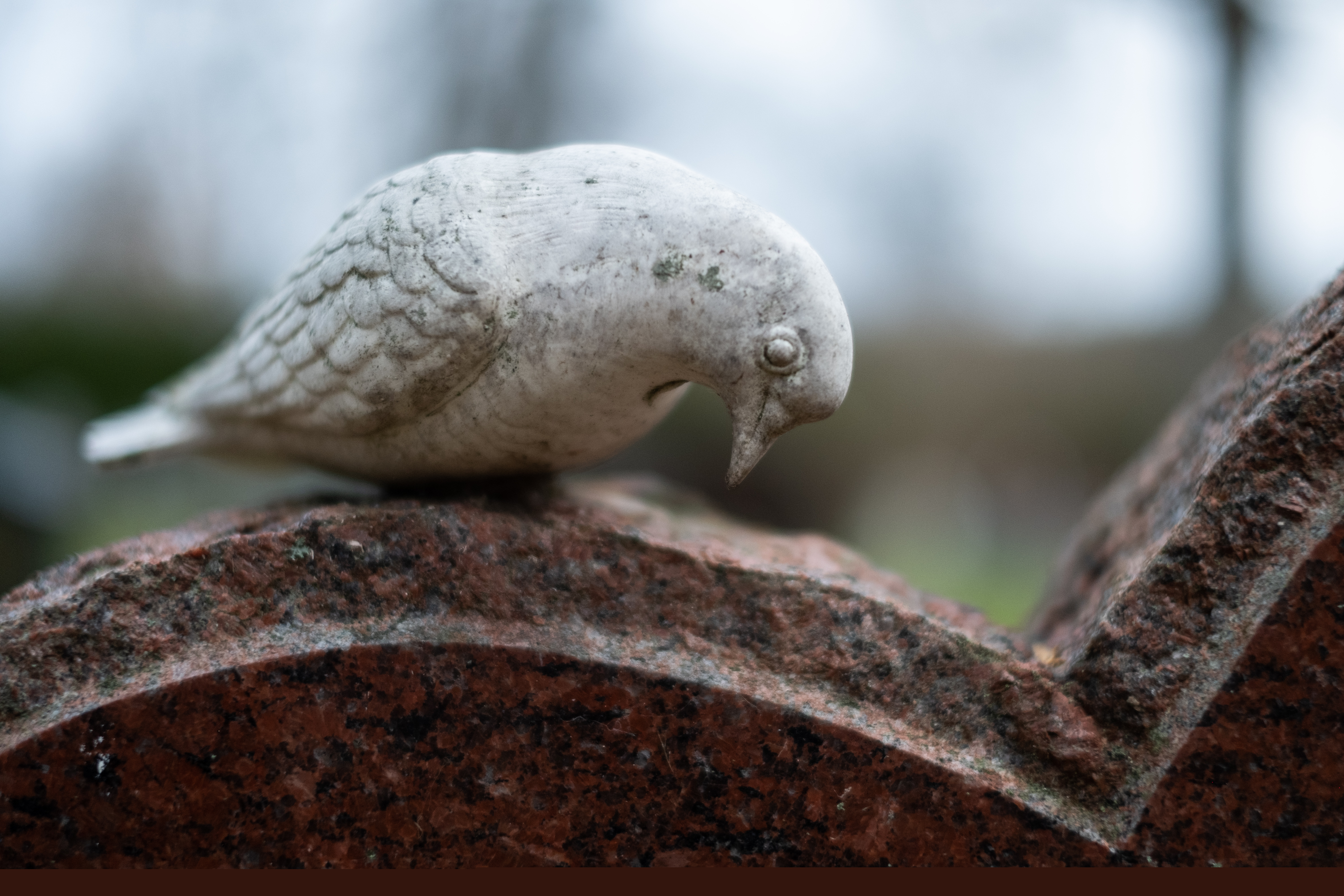 En fågel i sten står på en gravsten.