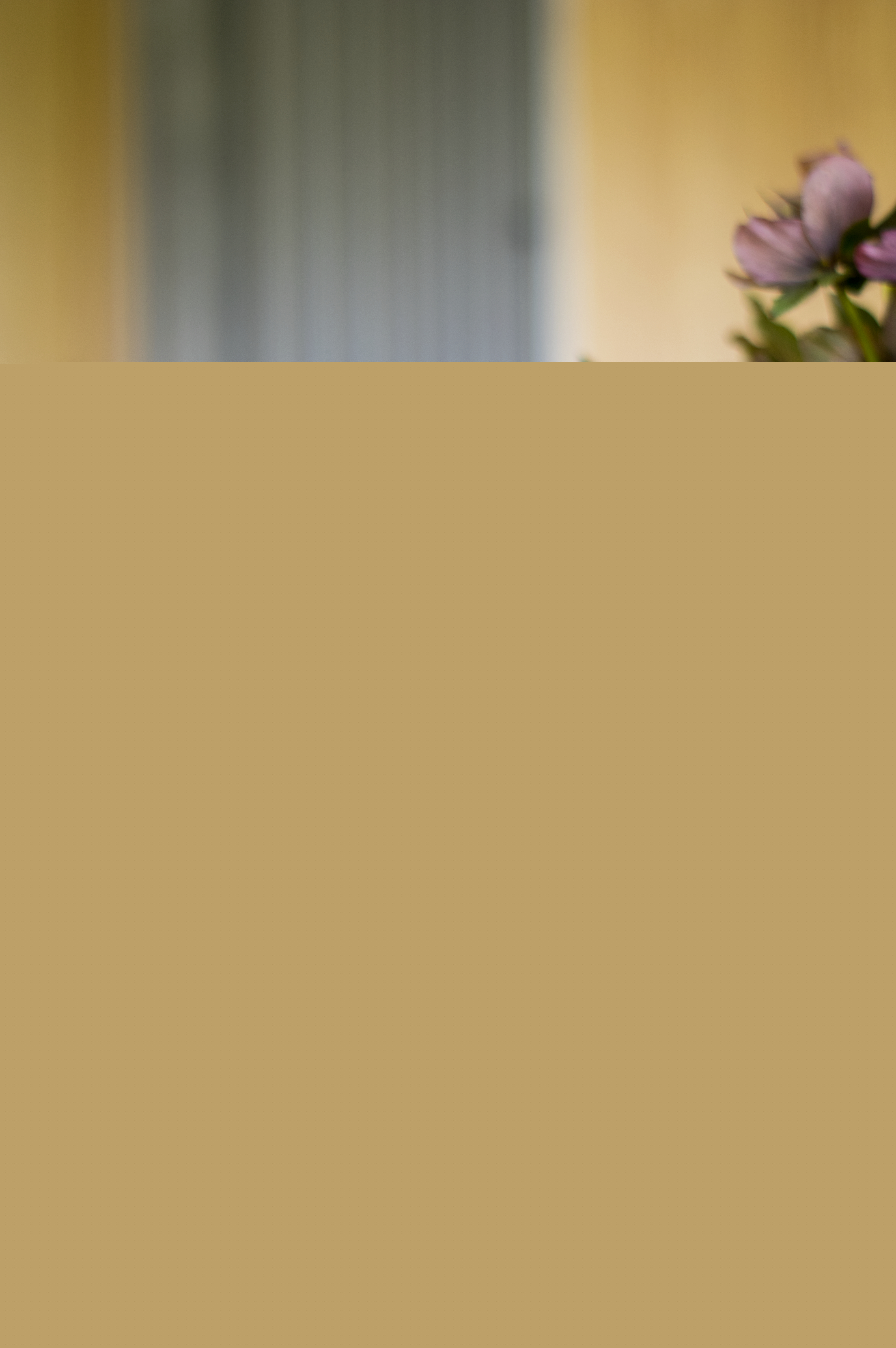 En ljusgrön prinsesstårta med en rosa ros på toppen står framdukad.