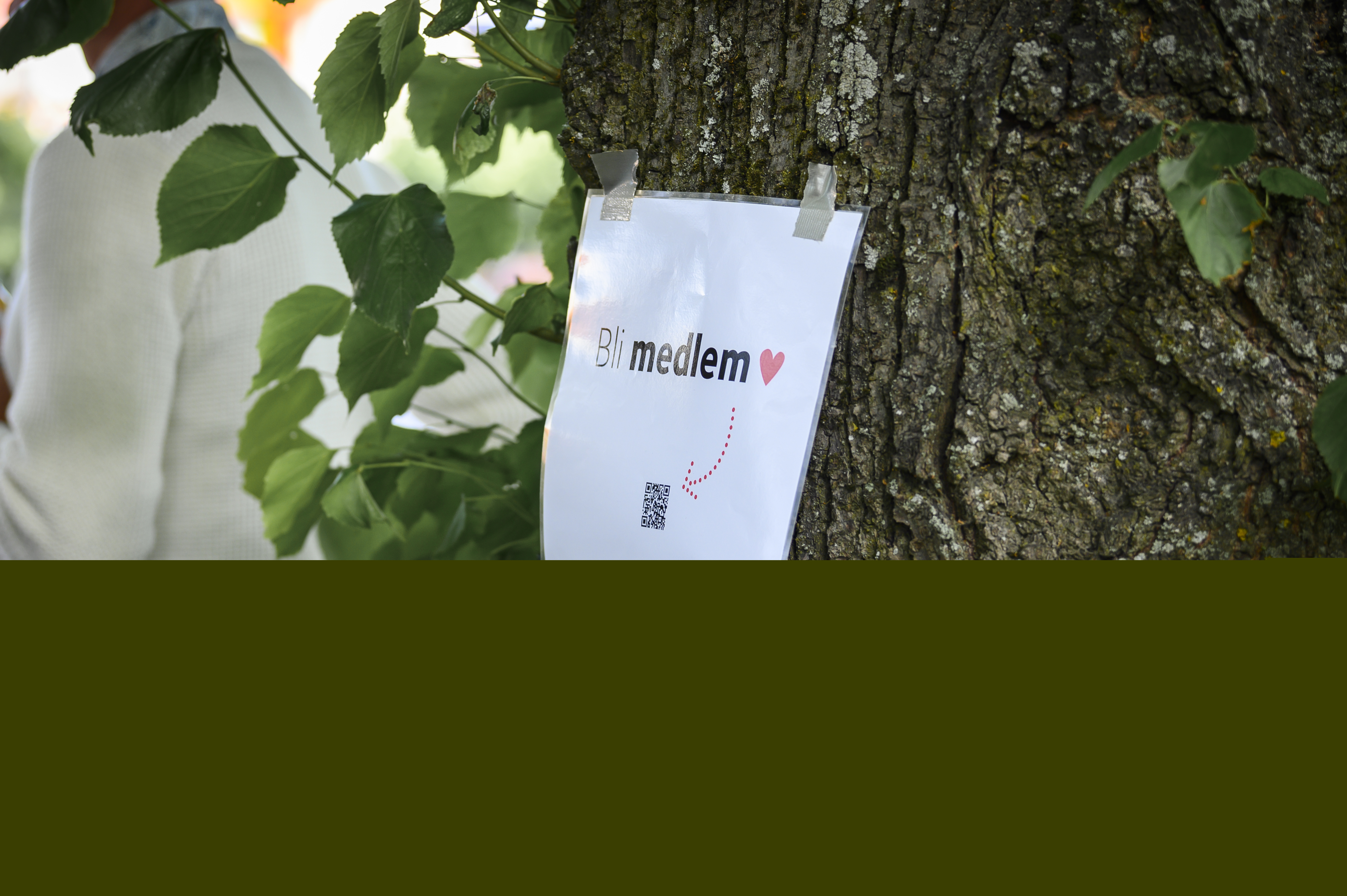 Ett papper med texten Bli medlem och en pil till en QR-kod sitter fasttejpat på ett träd.
