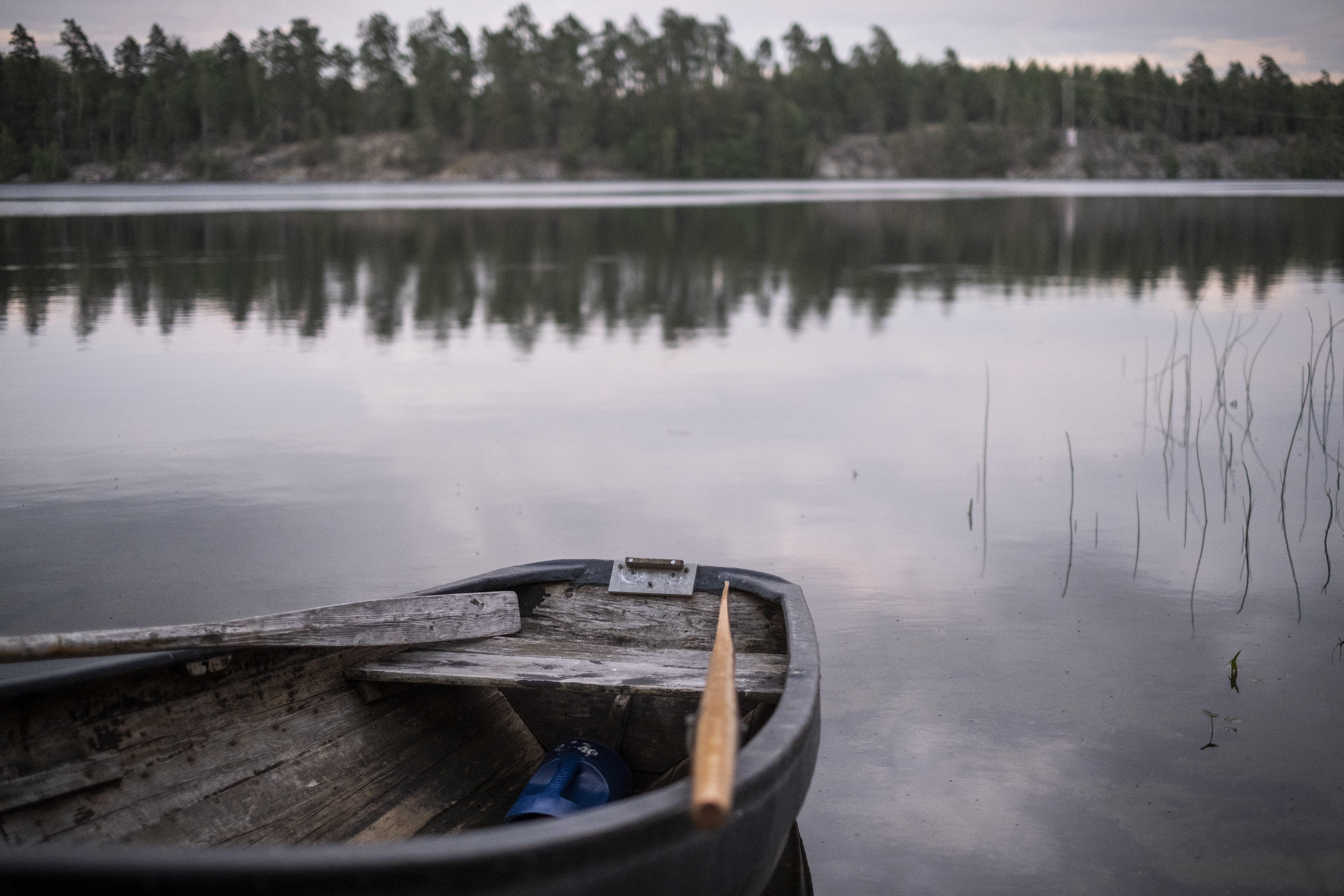 En gammal eka ligger med aktern i vattnet i det spegelblanka vattnet.