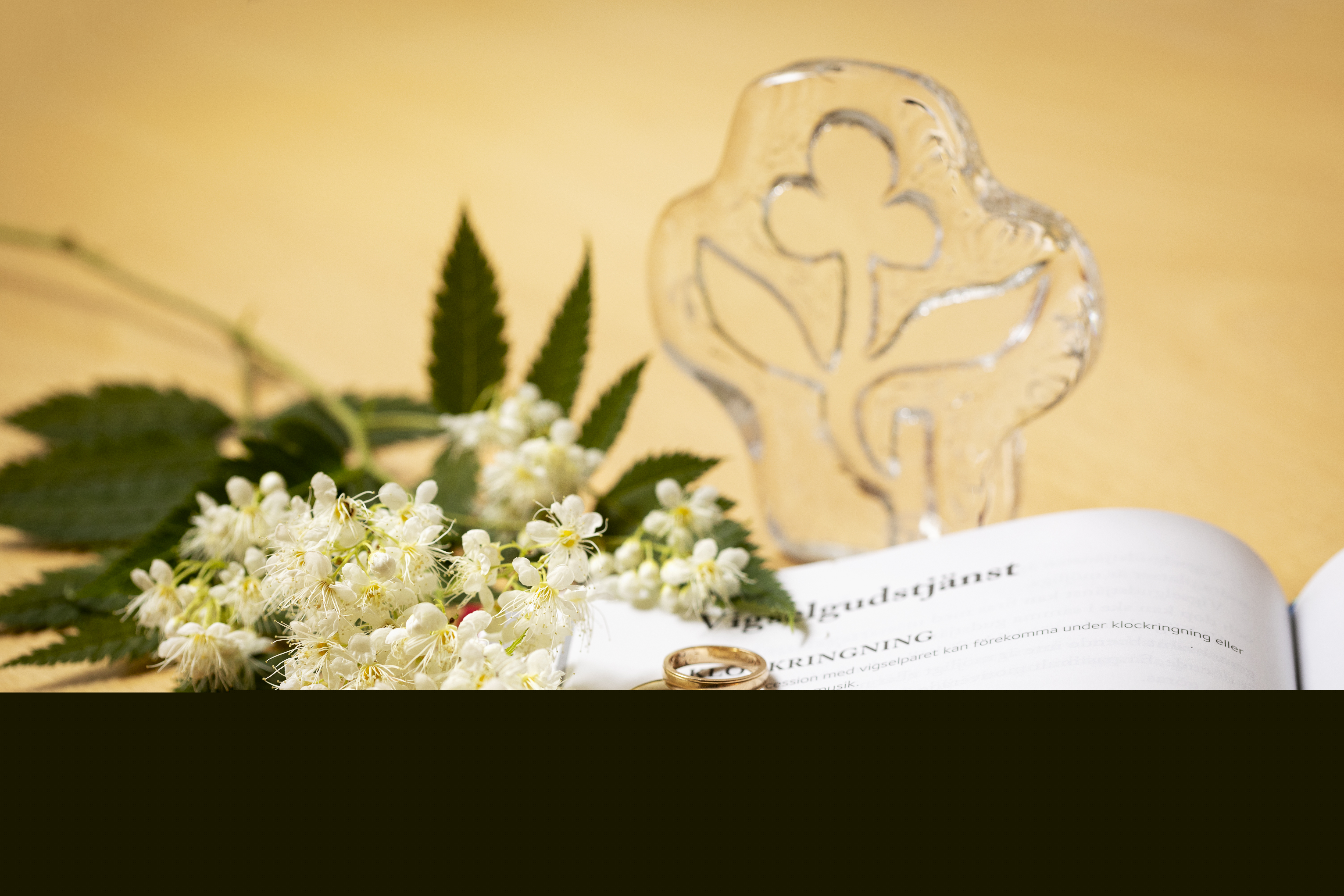 Närbild på ett par ringar och en blomkvist som ligger på en bok med rubriken Vigselgudstjänst uppslagen.