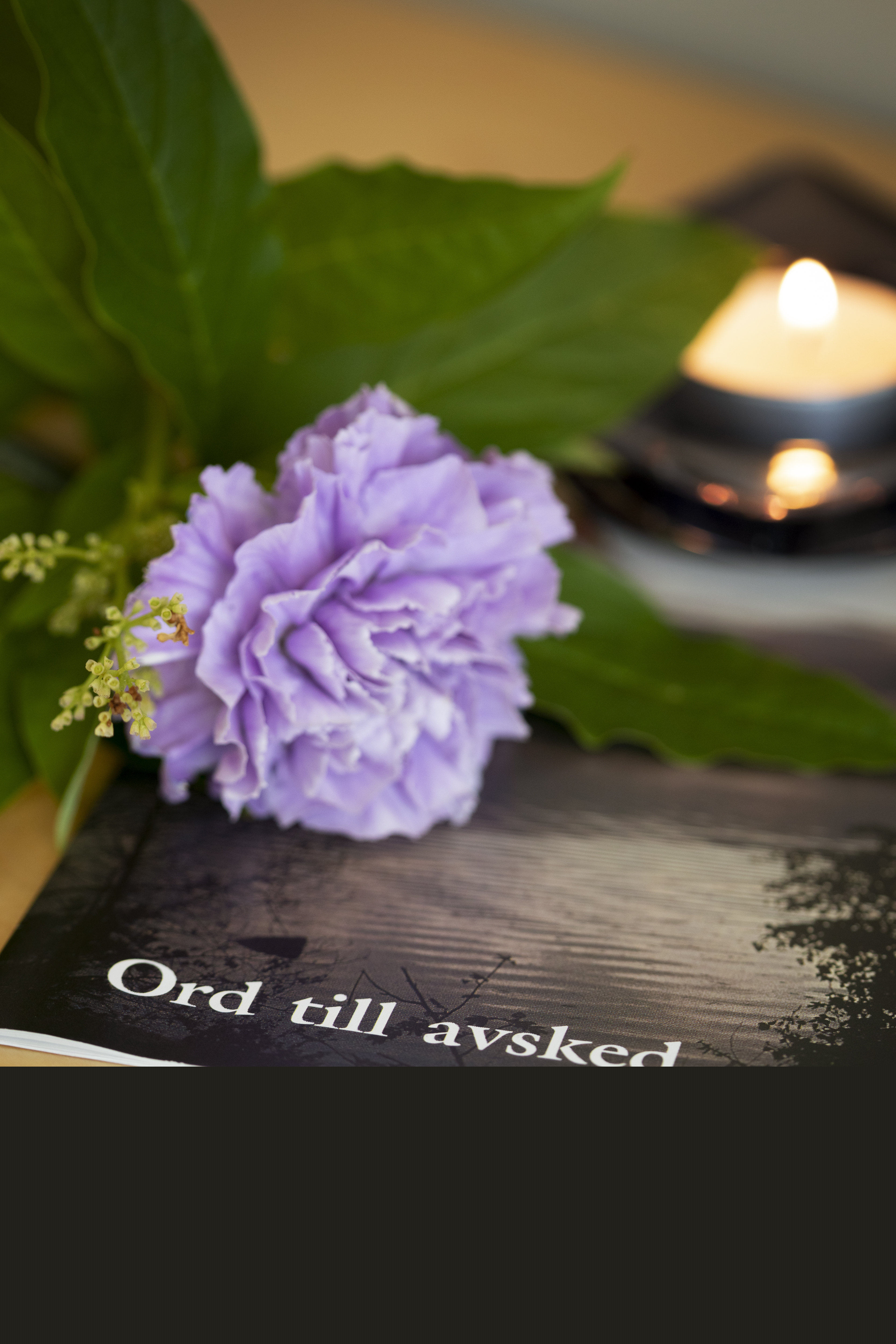 En lila blomma och ett ljus ligger på en broschyr med texten Ord till avsked.