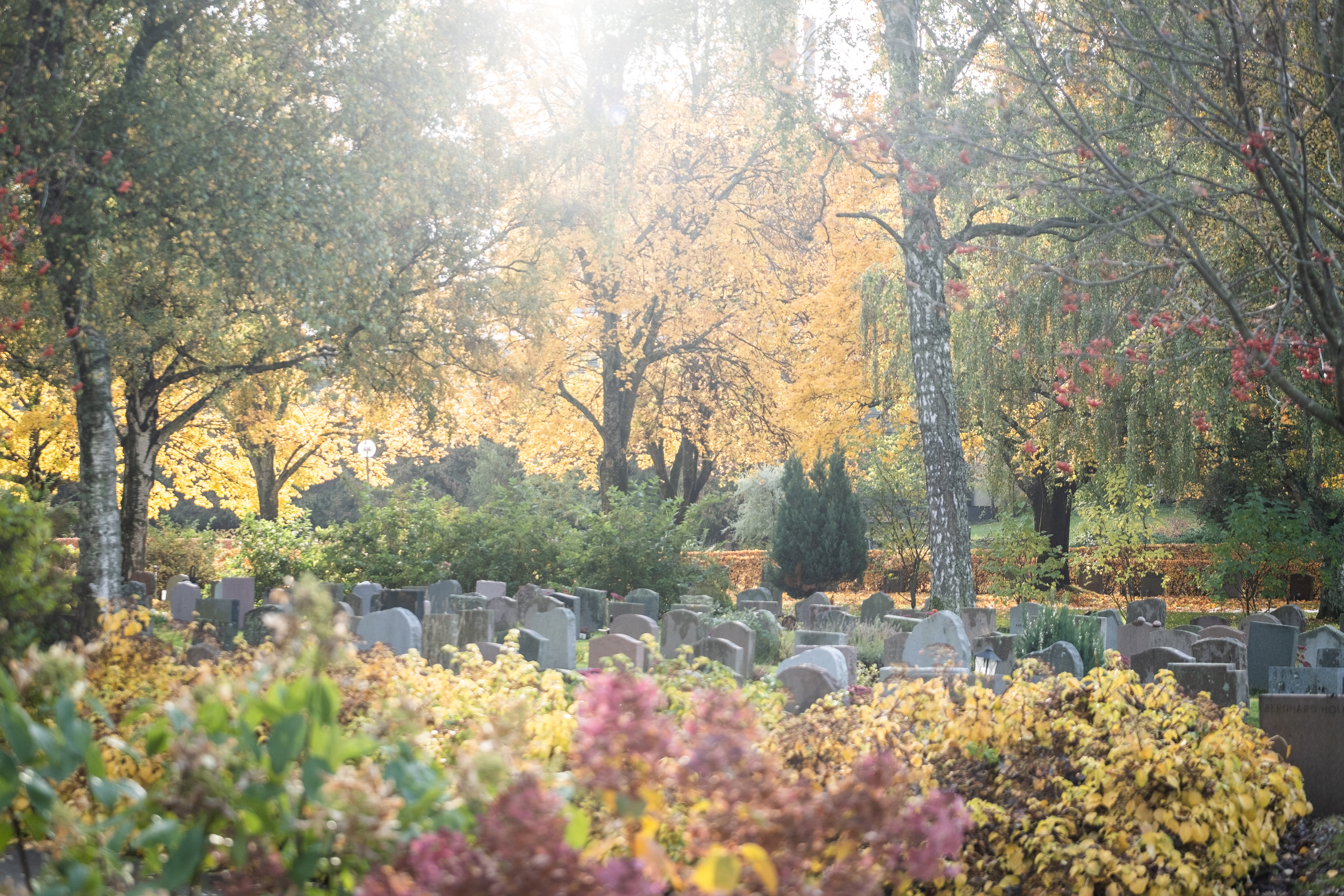 En höstfärgad kyrkogård.