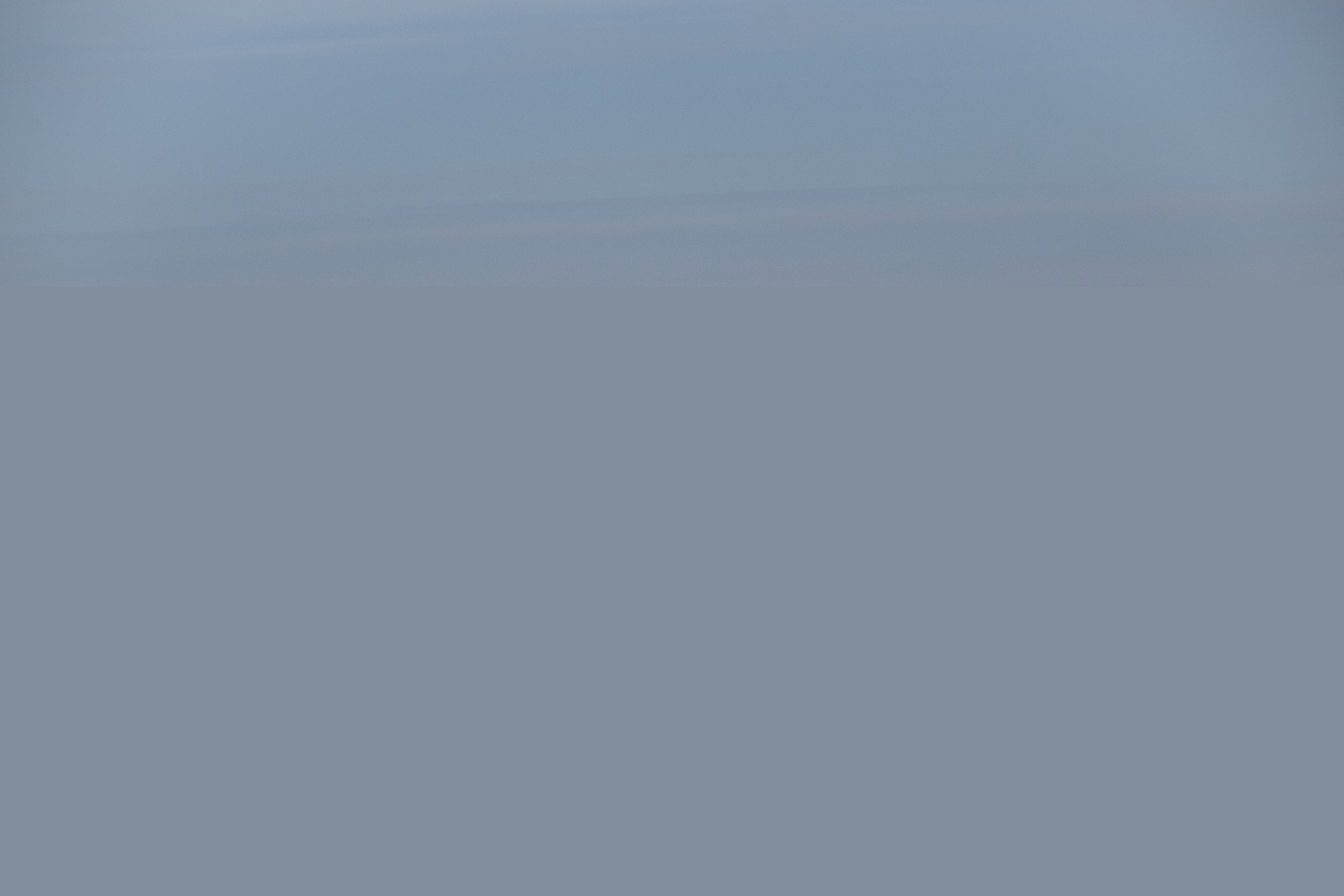 En ensam mås flyger över havet.