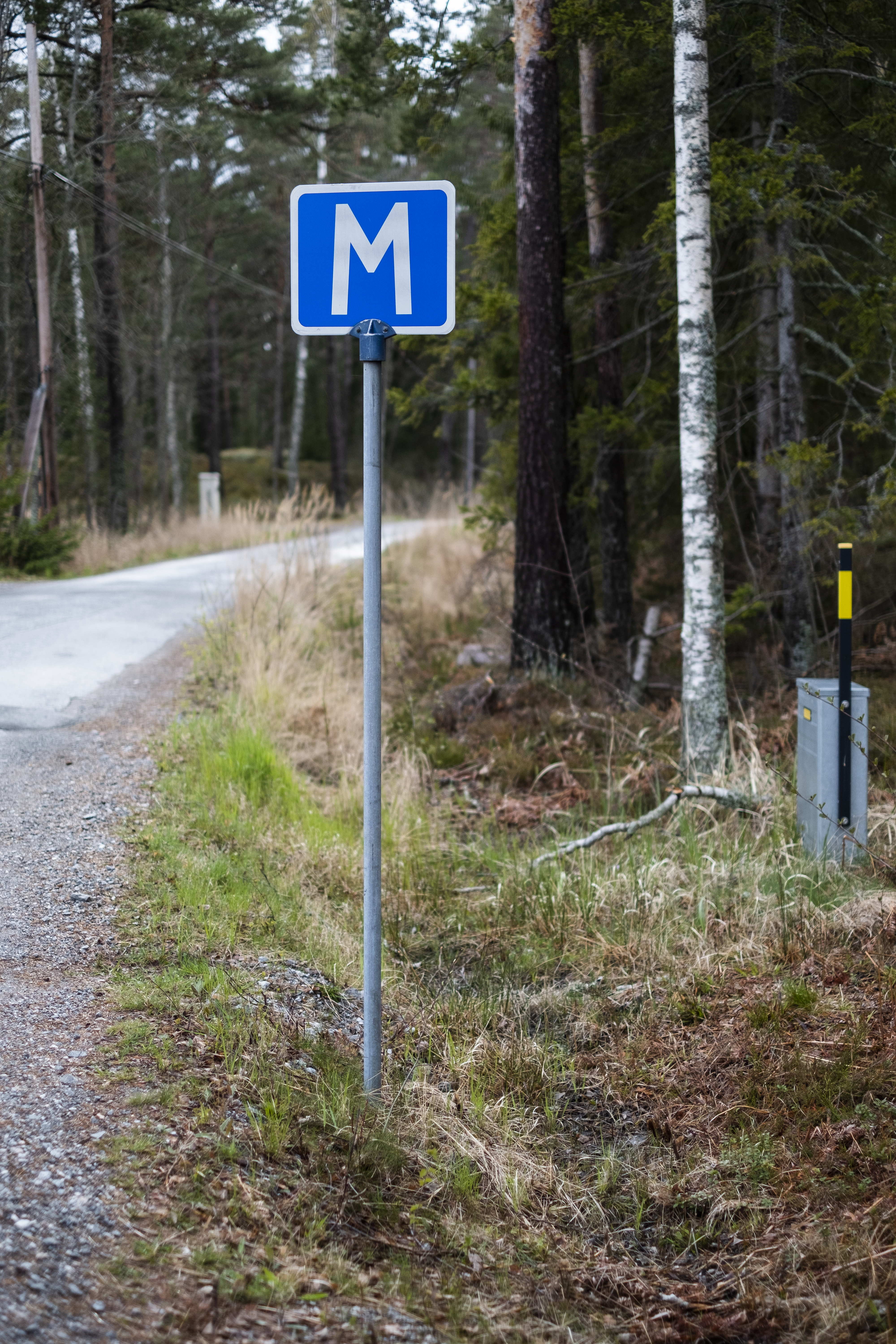 En skylt för mötesplats på en väg i skogen.
